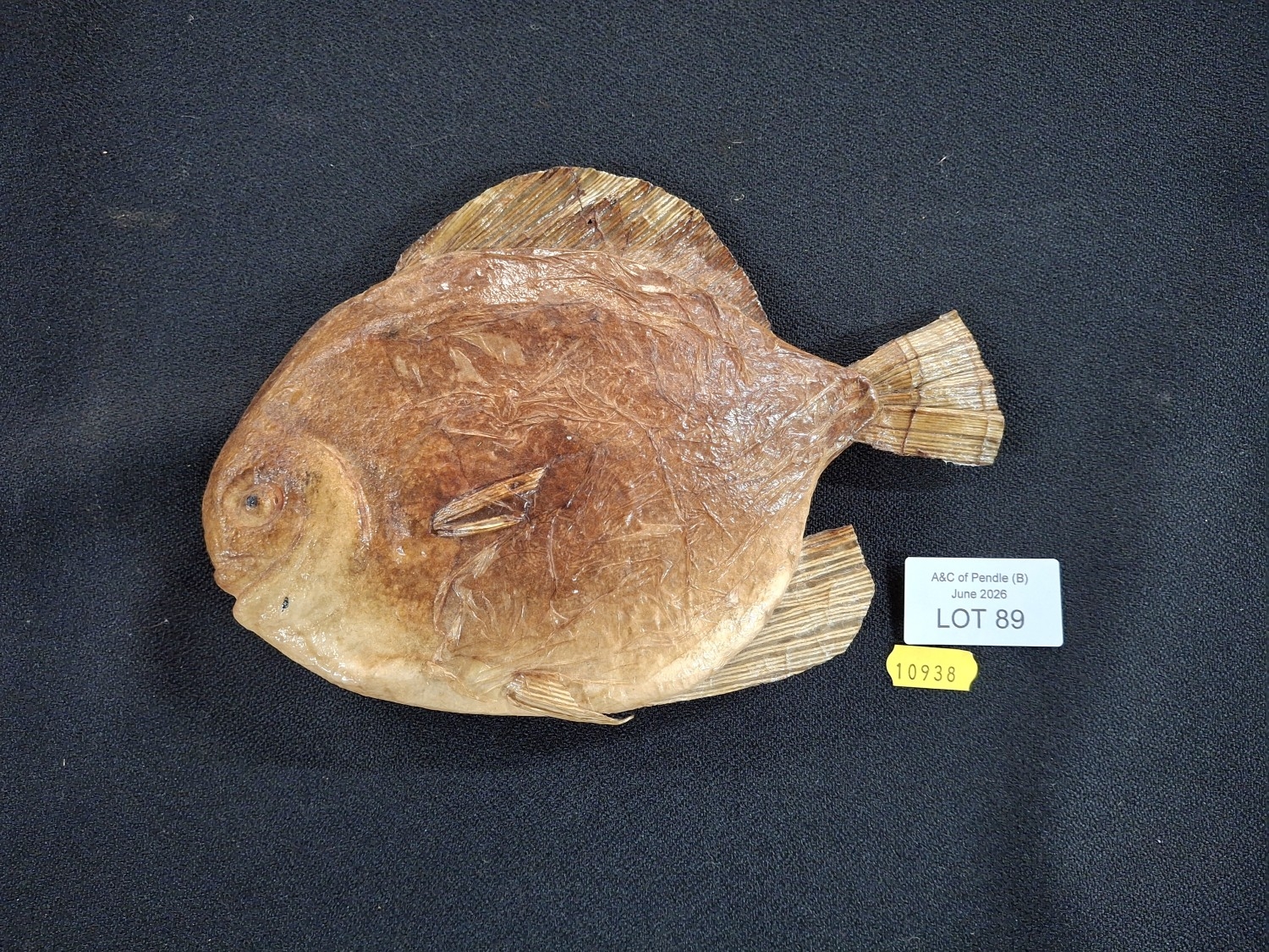 Lot 89