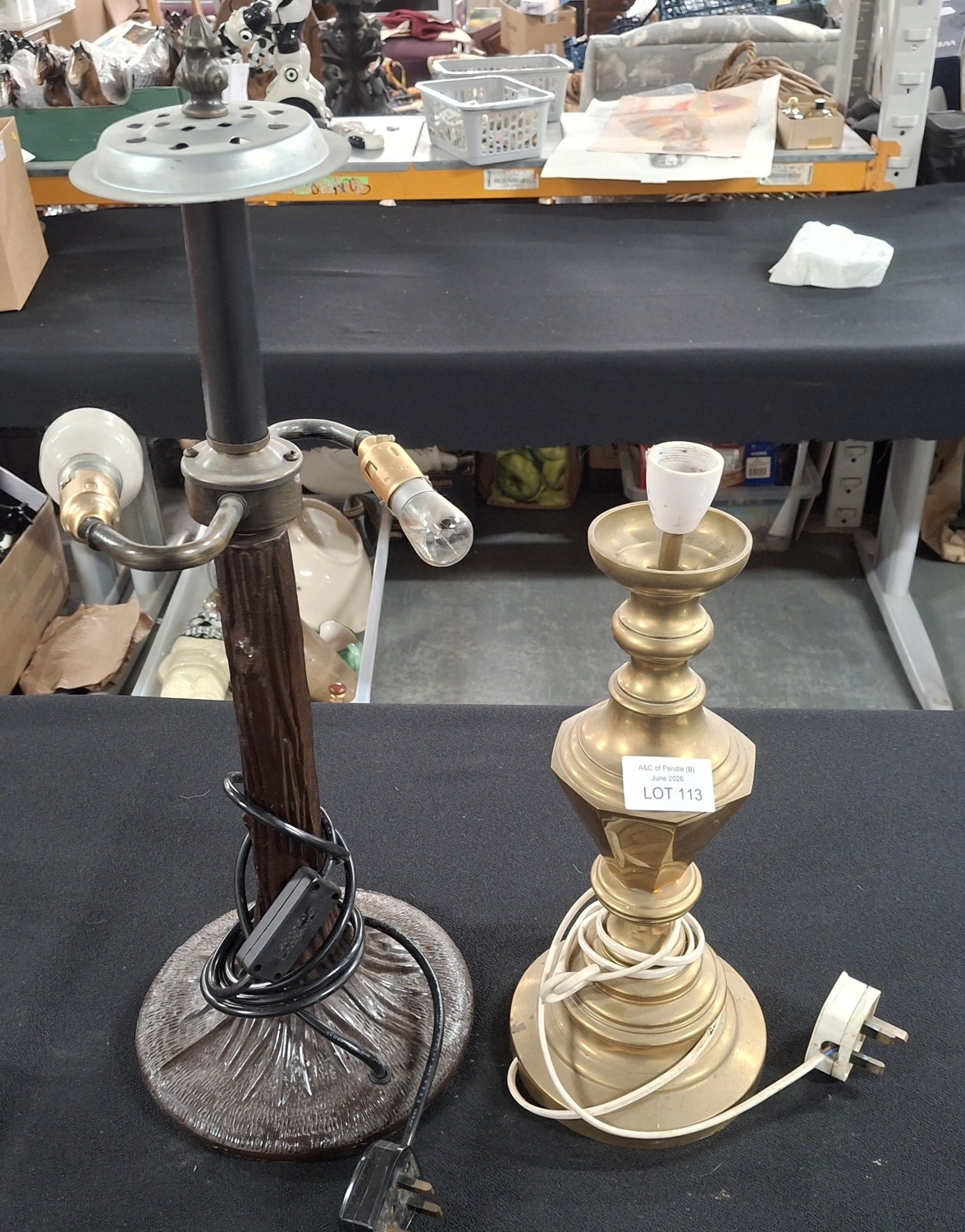 Lot 113