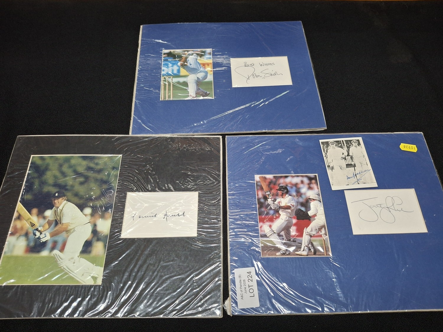Lot 224