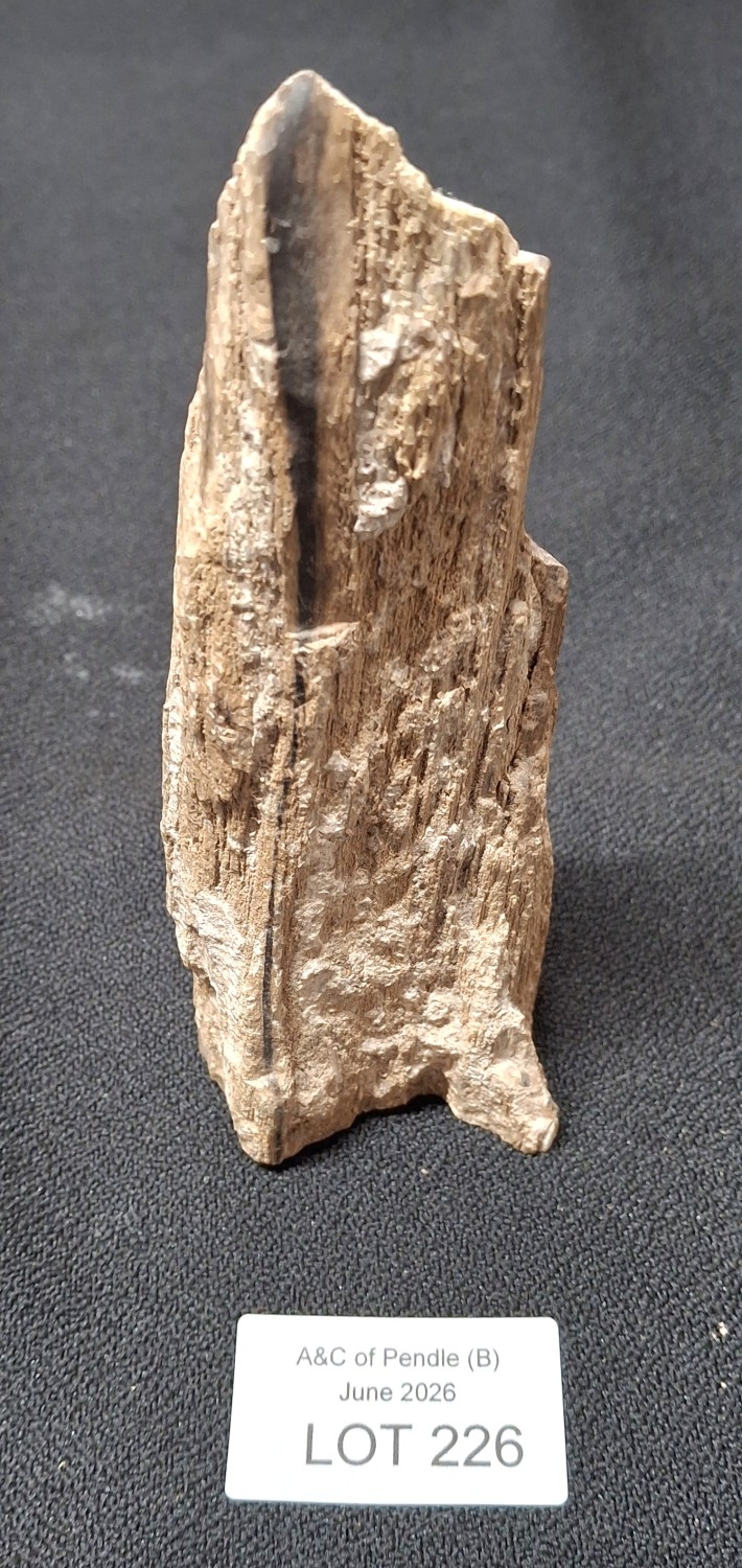 Lot 226