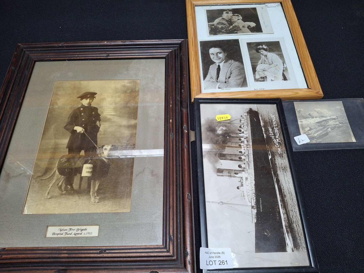 Lot 261