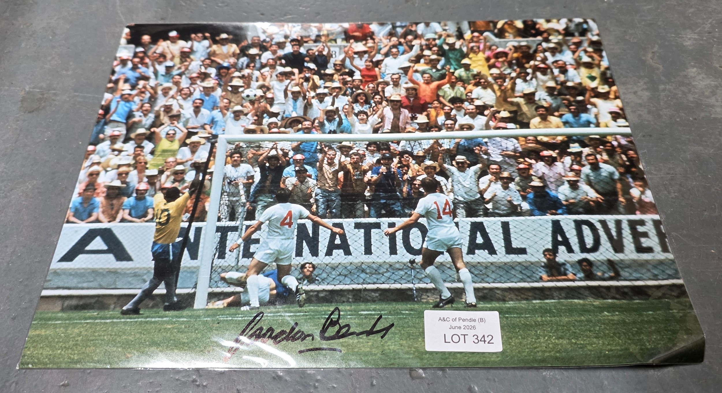 Lot 342