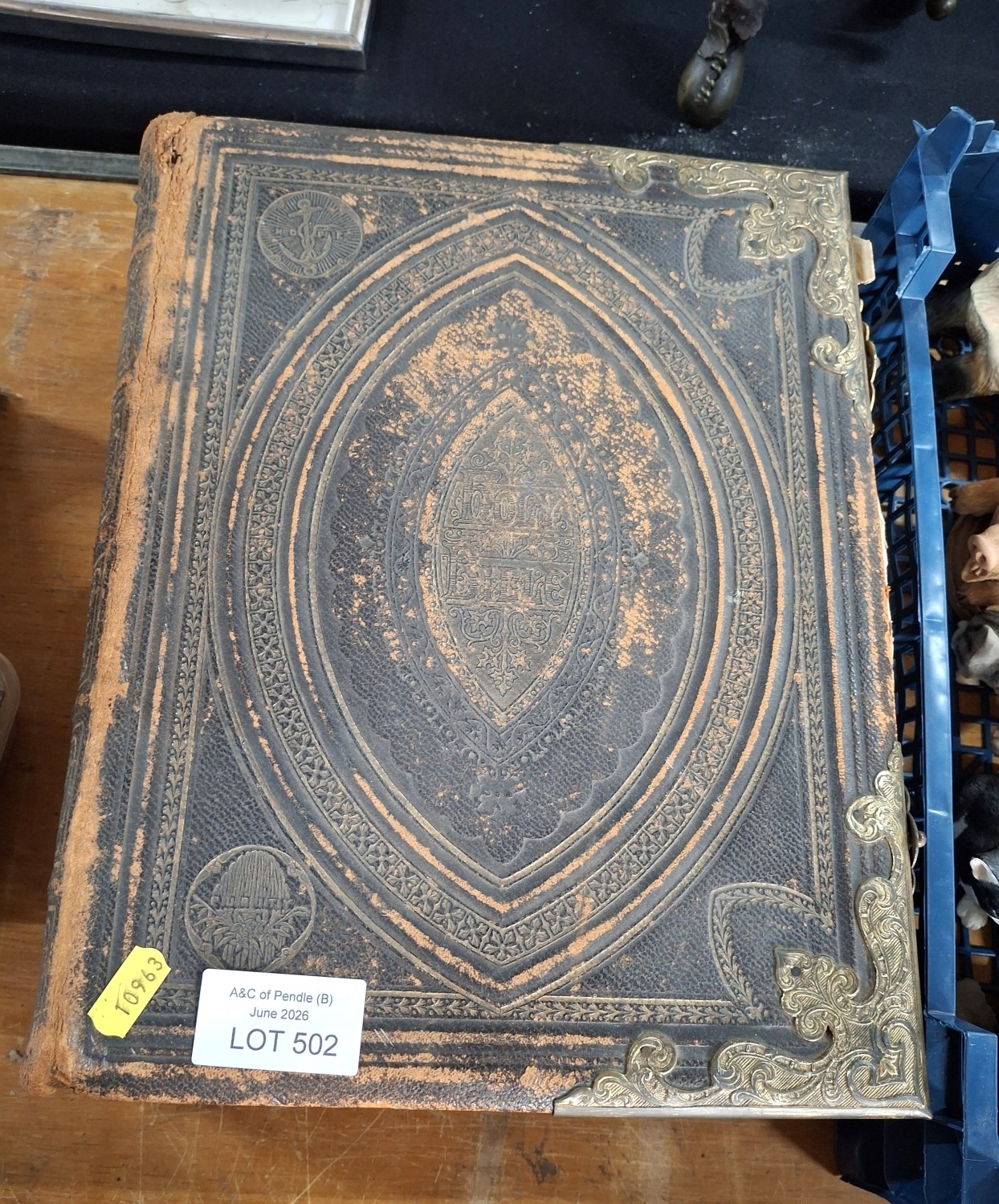 Lot 502