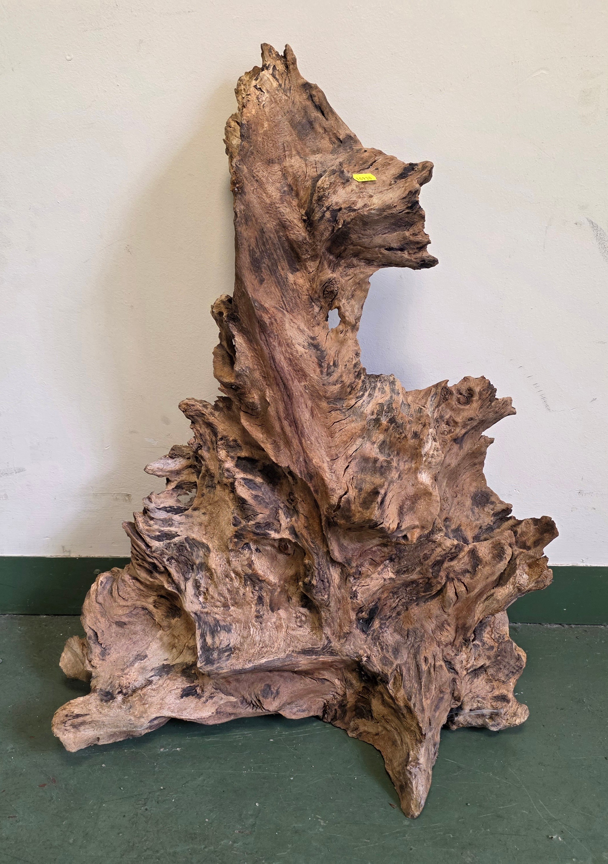 Lot 569