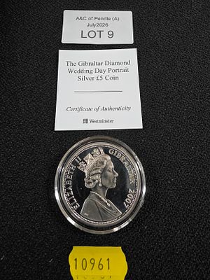 QEII 2007 uncirculated five pounds 925 silver coin in capsule with COA, 28.28 grams
