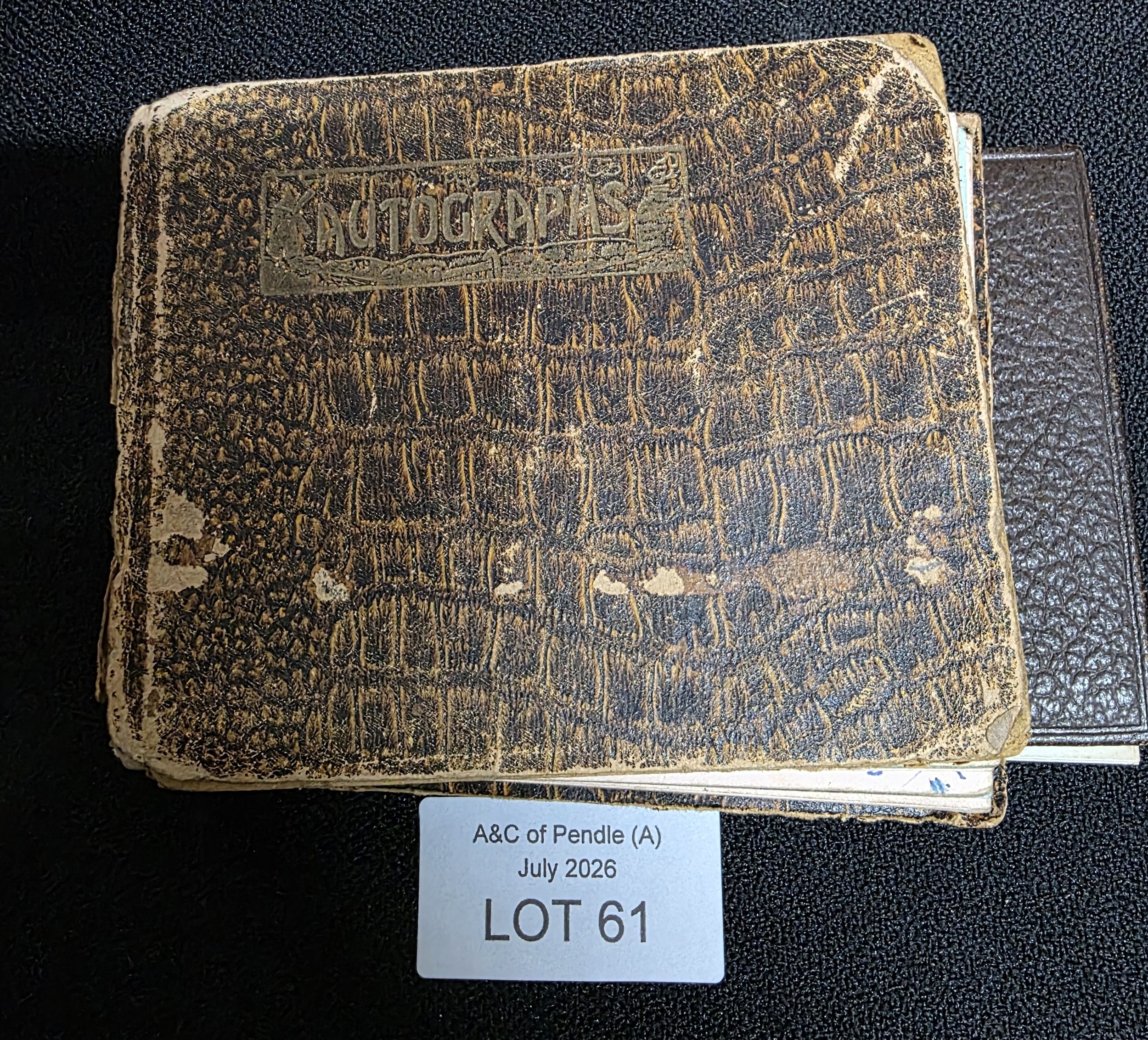 Lot 61