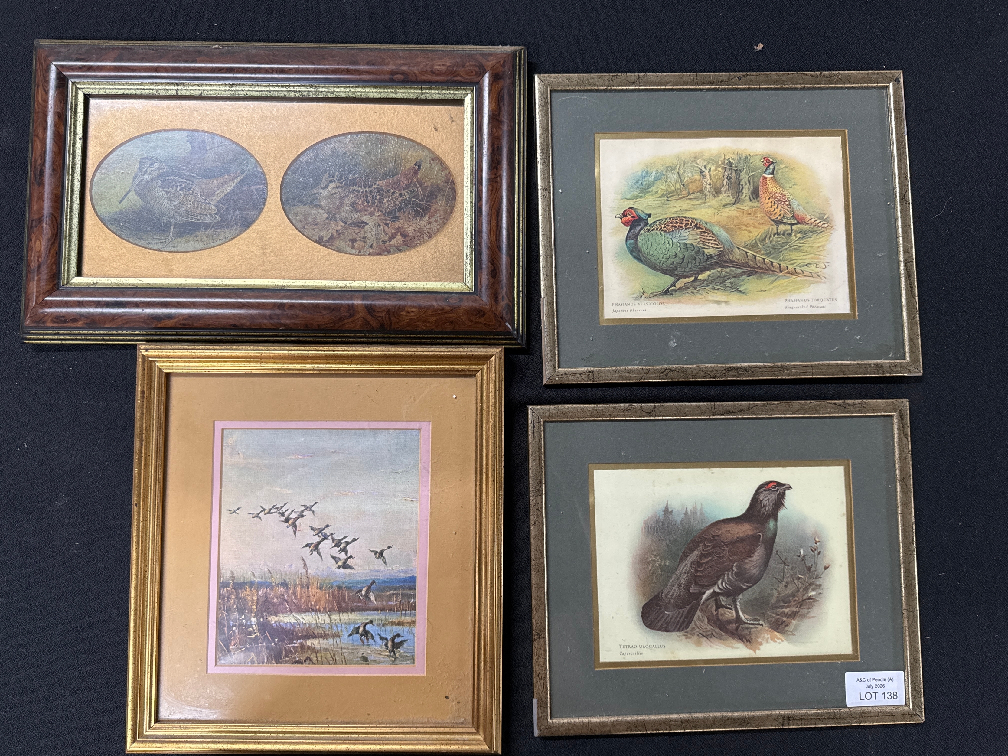 Lot 138