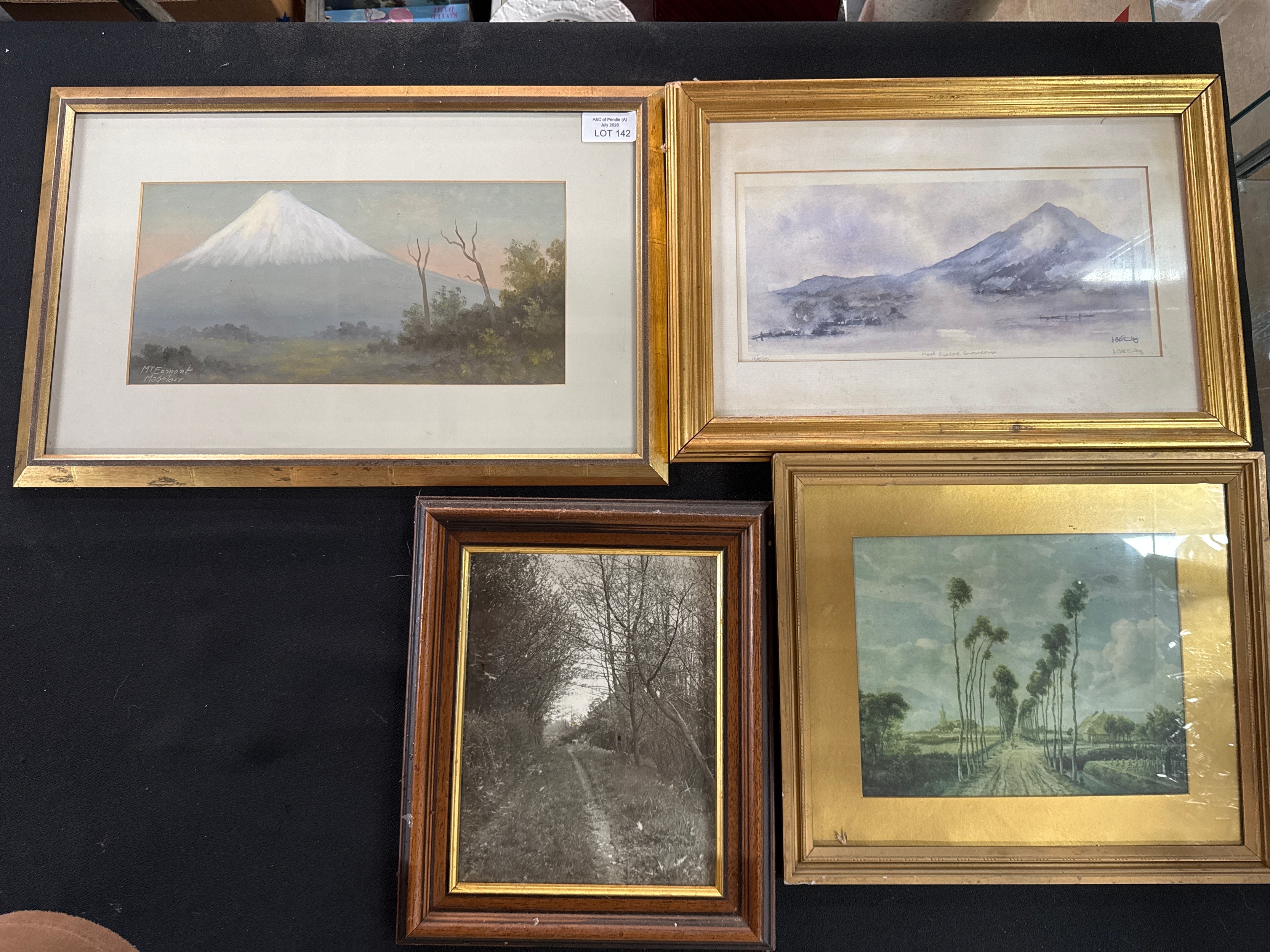 Lot 142