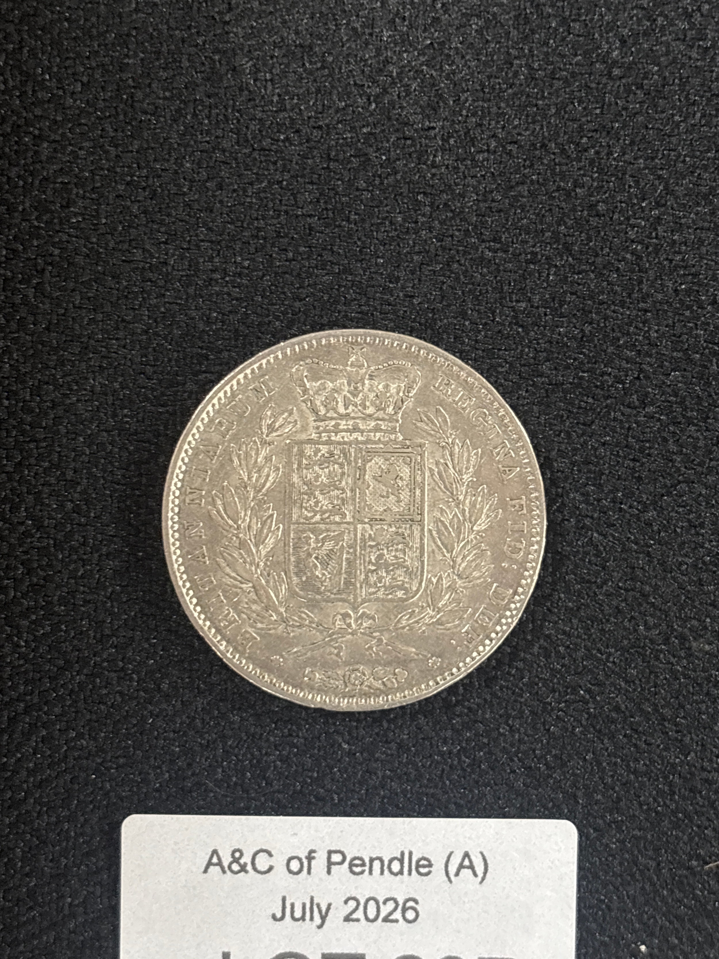 Lot 237