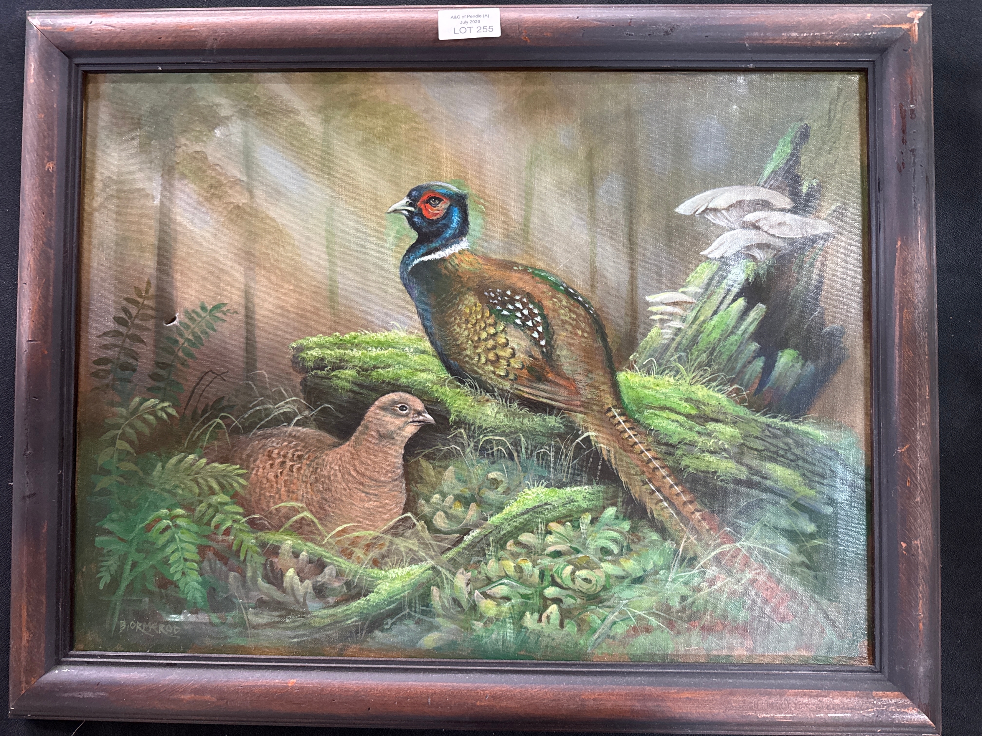 Lot 255