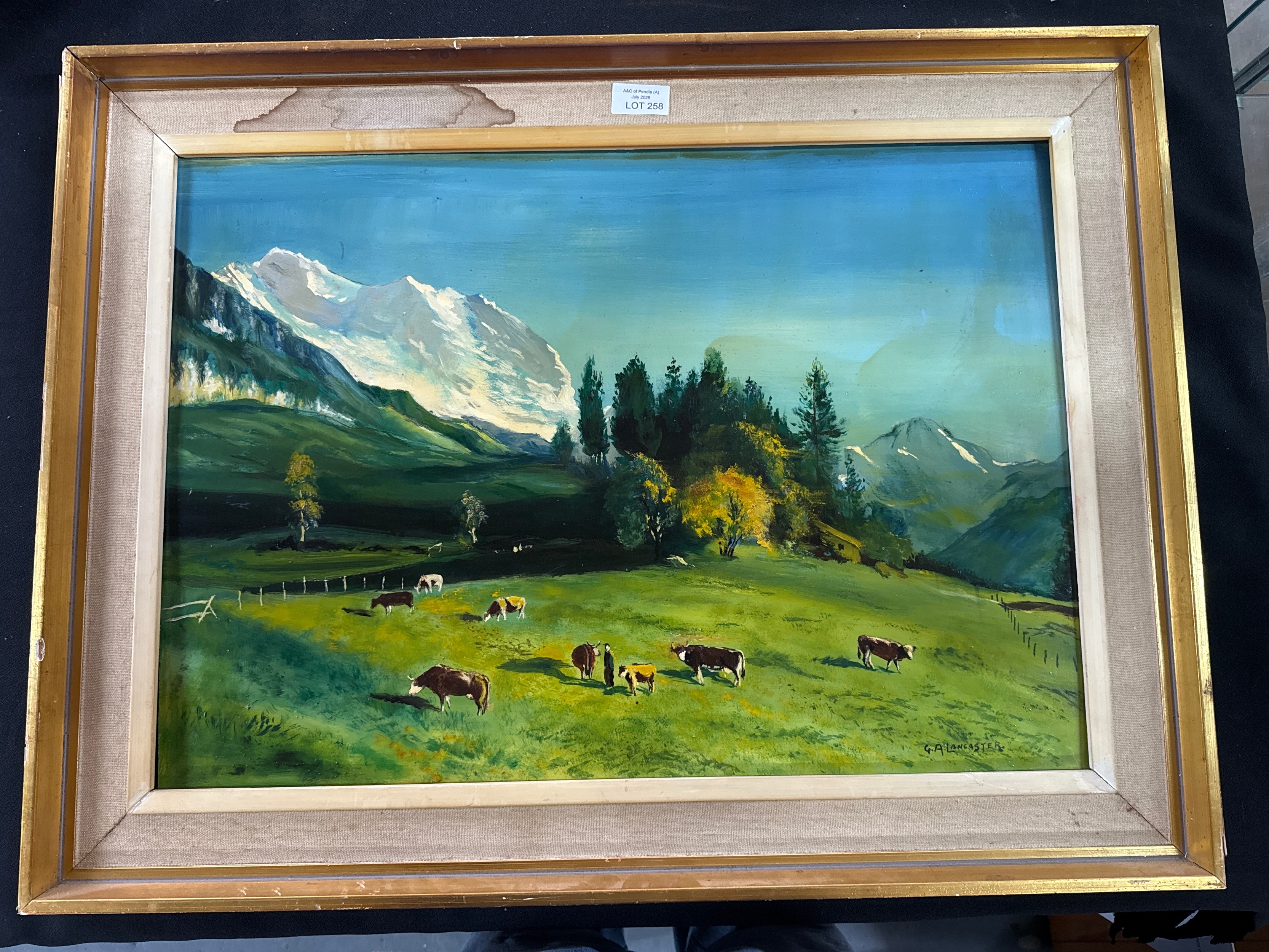 Lot 258