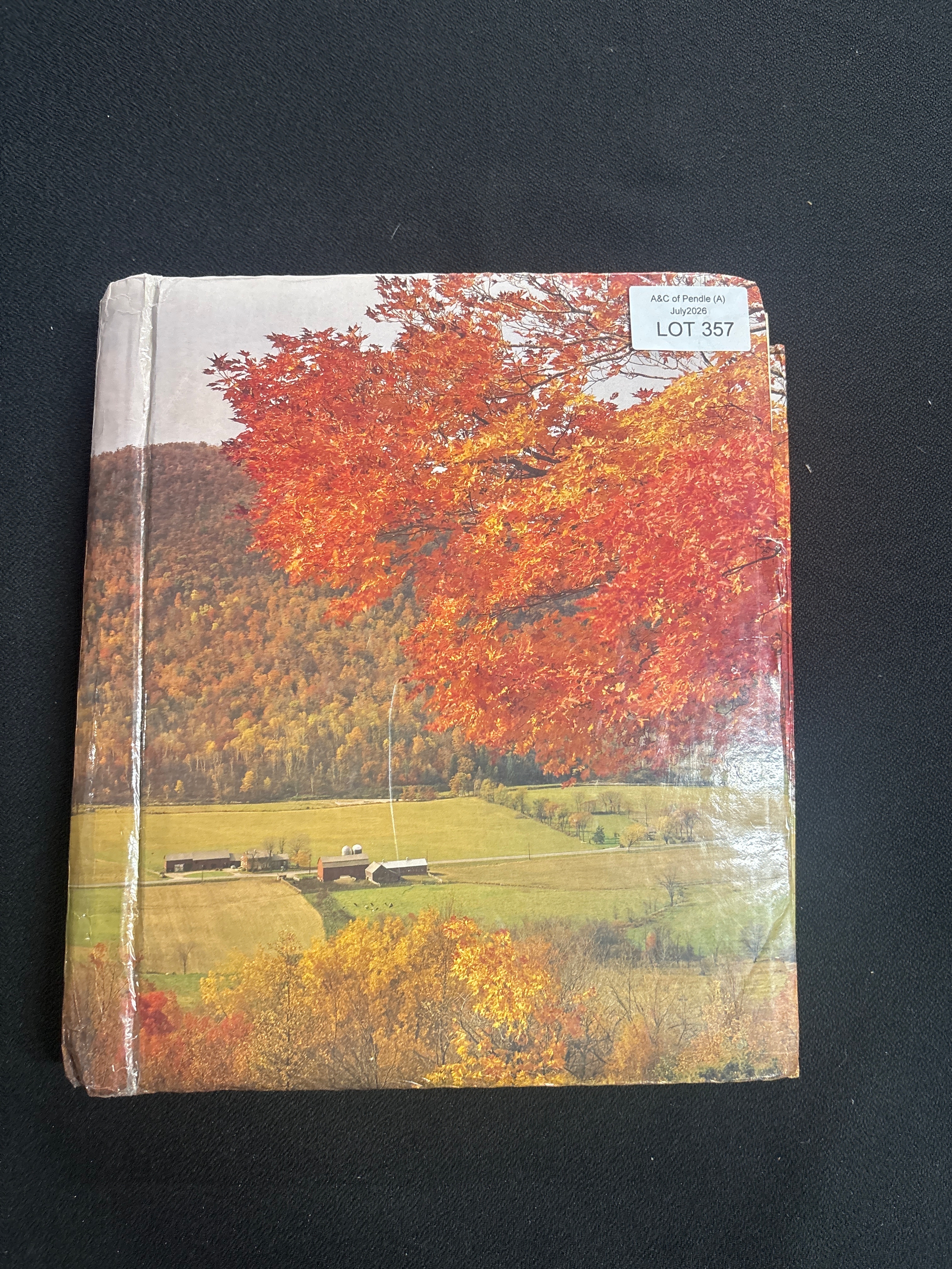 Lot 357