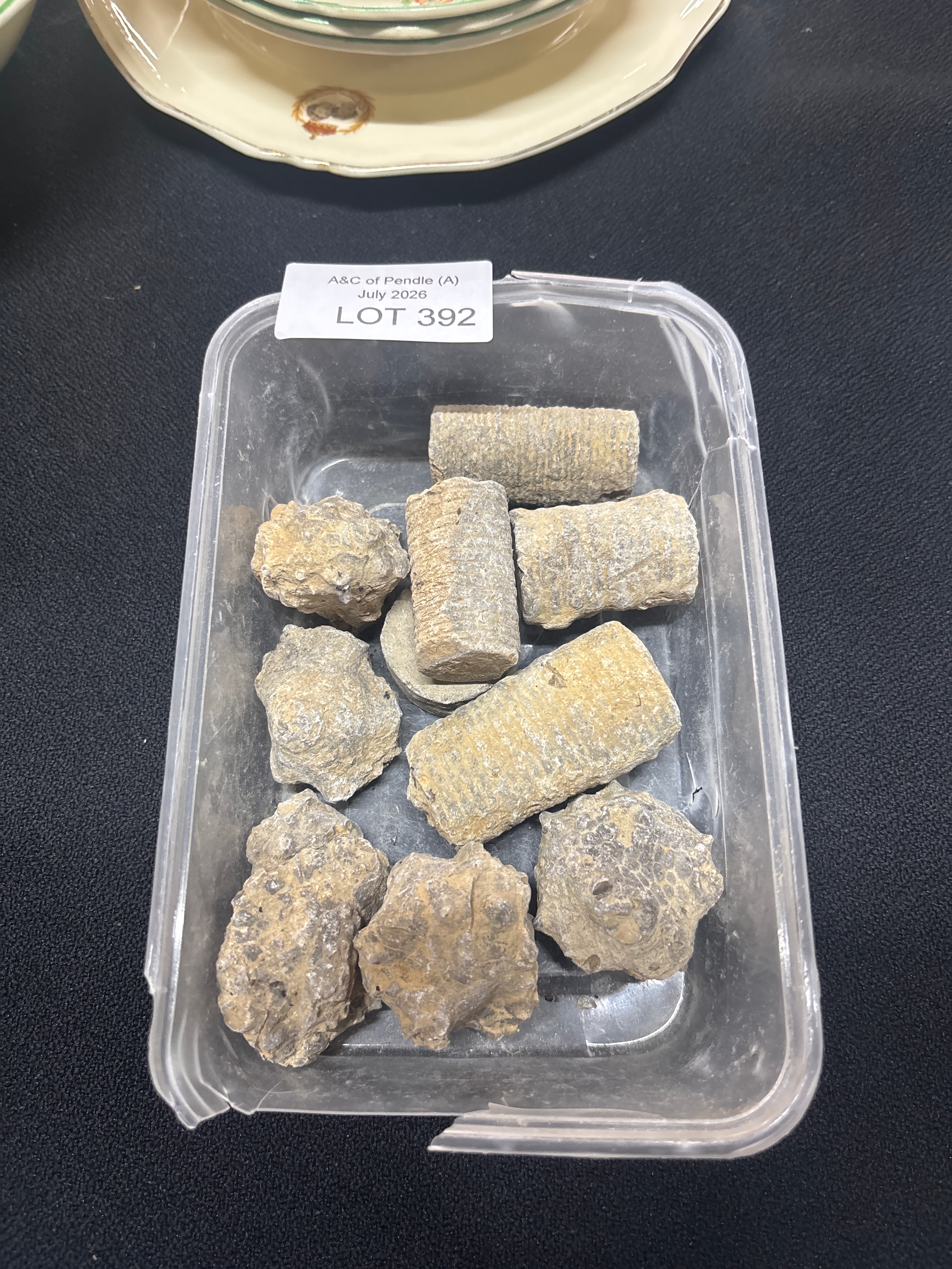 Lot 392