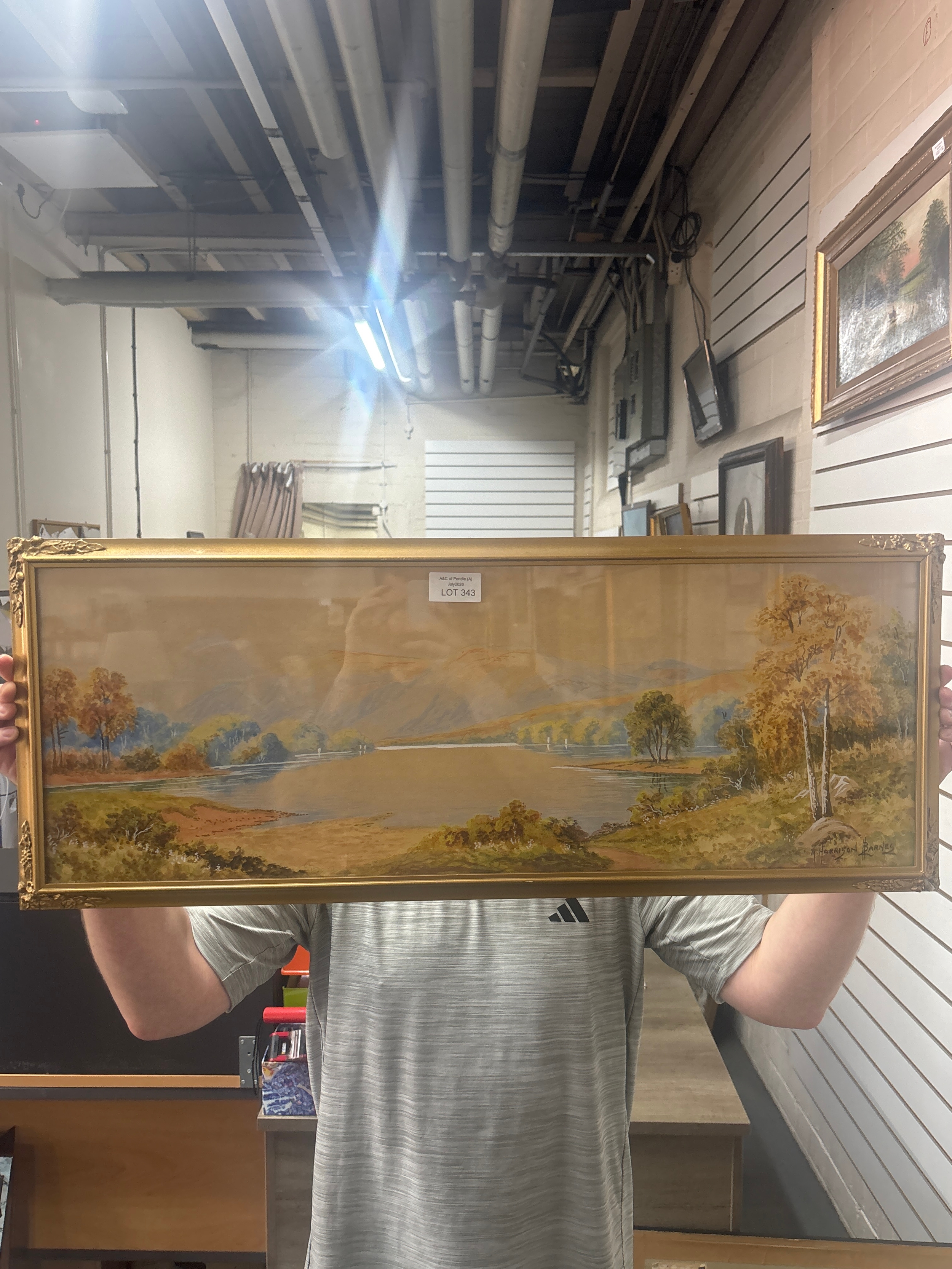 Lot 343