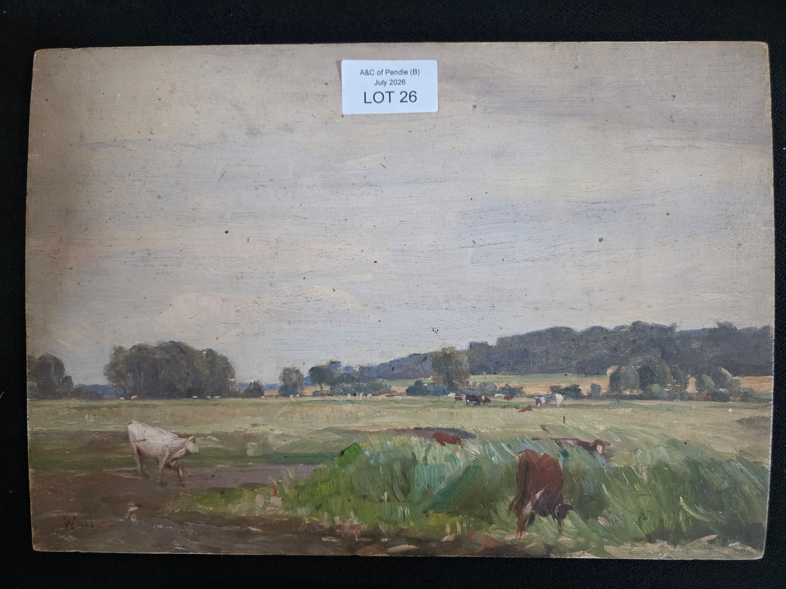 Lot 26