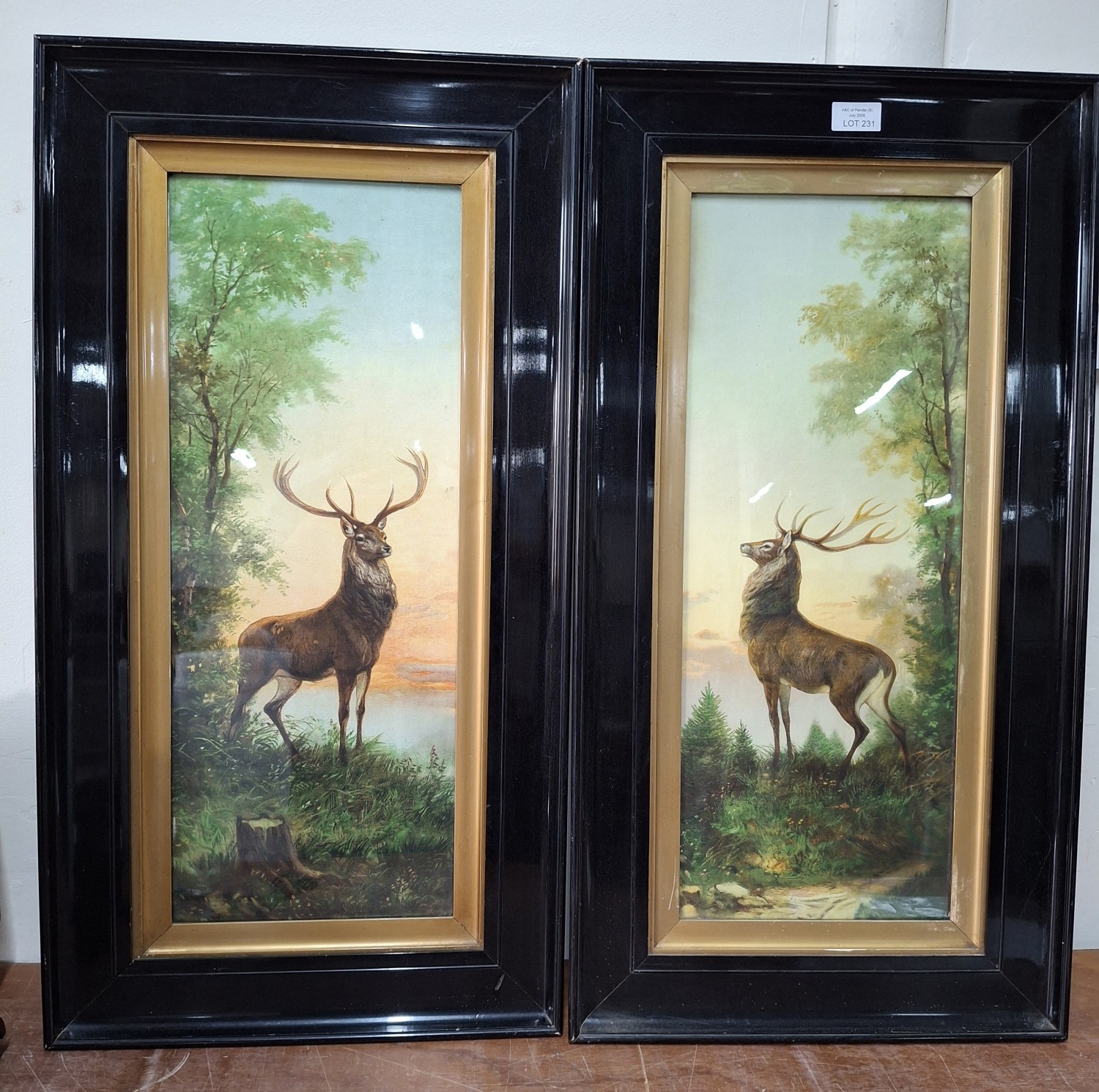 Lot 231