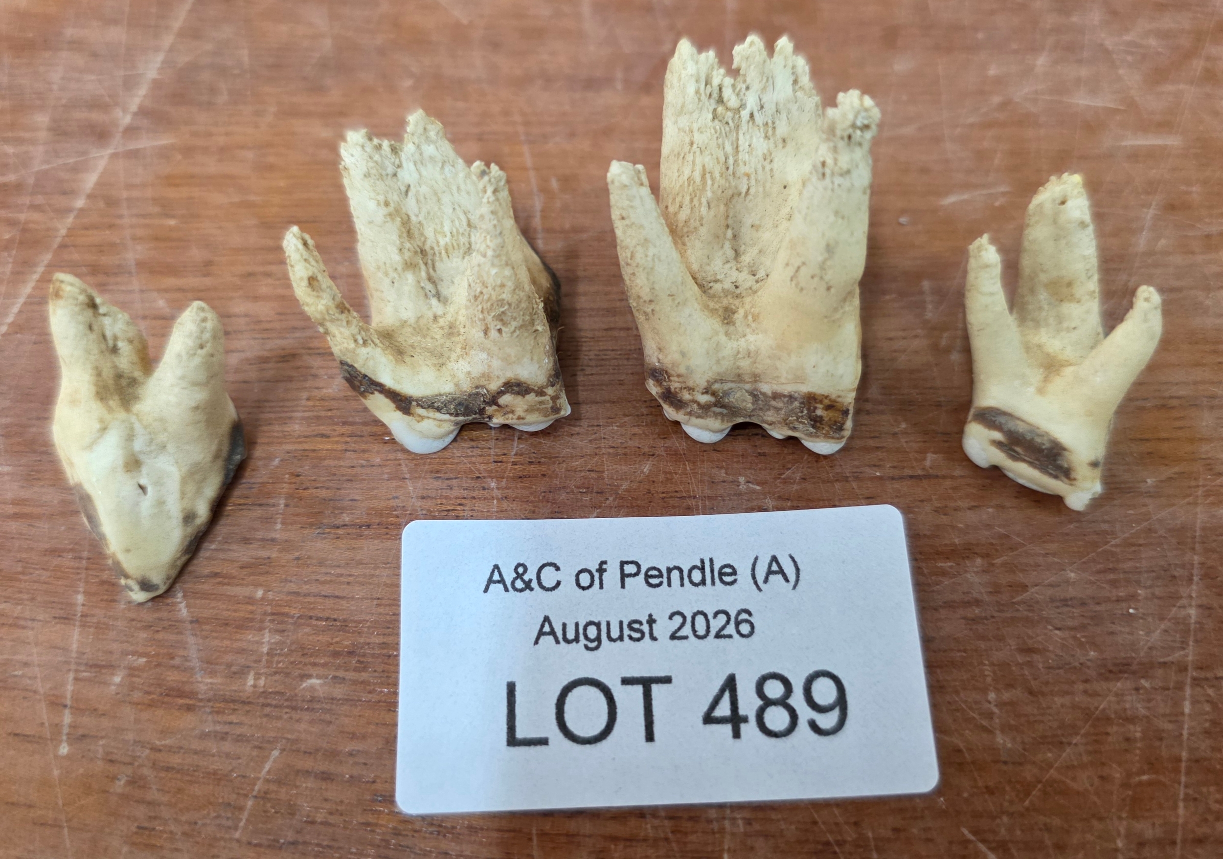Lot 489