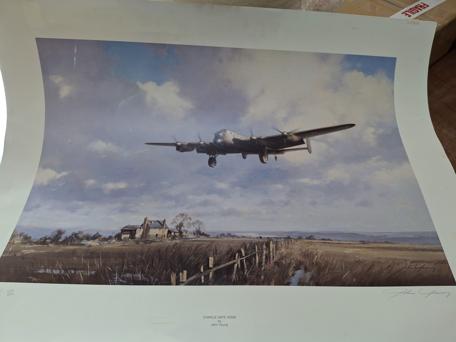 Lot 236