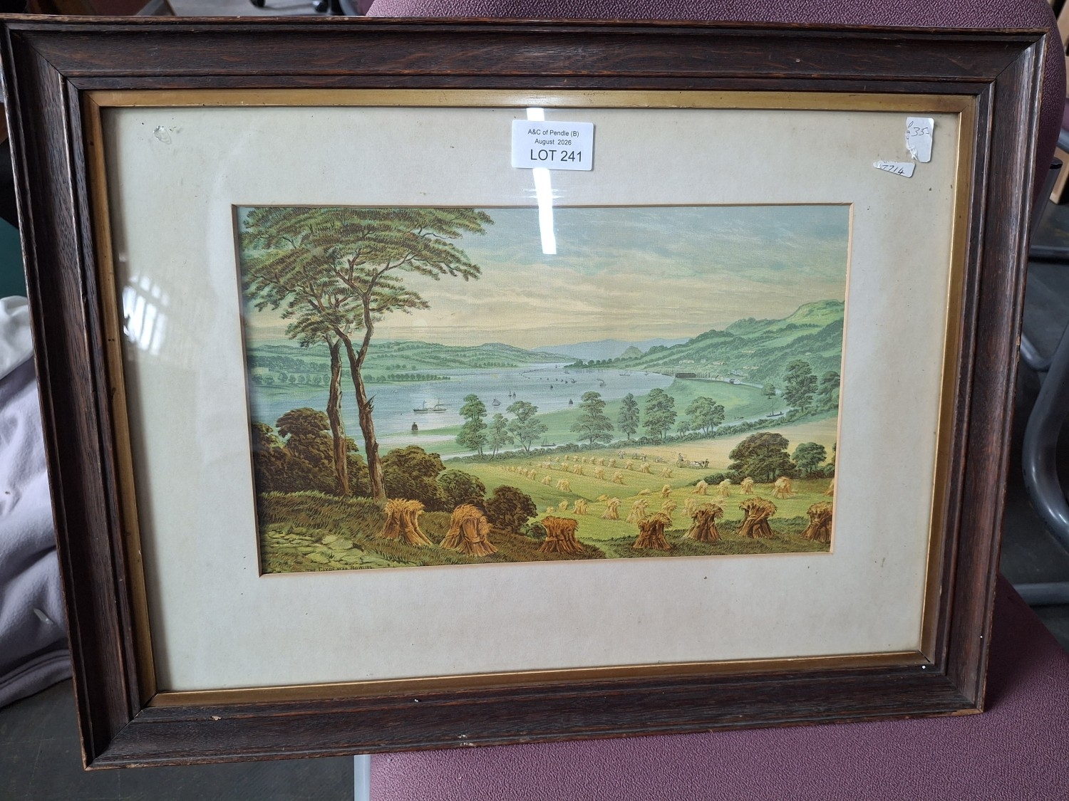Lot 241