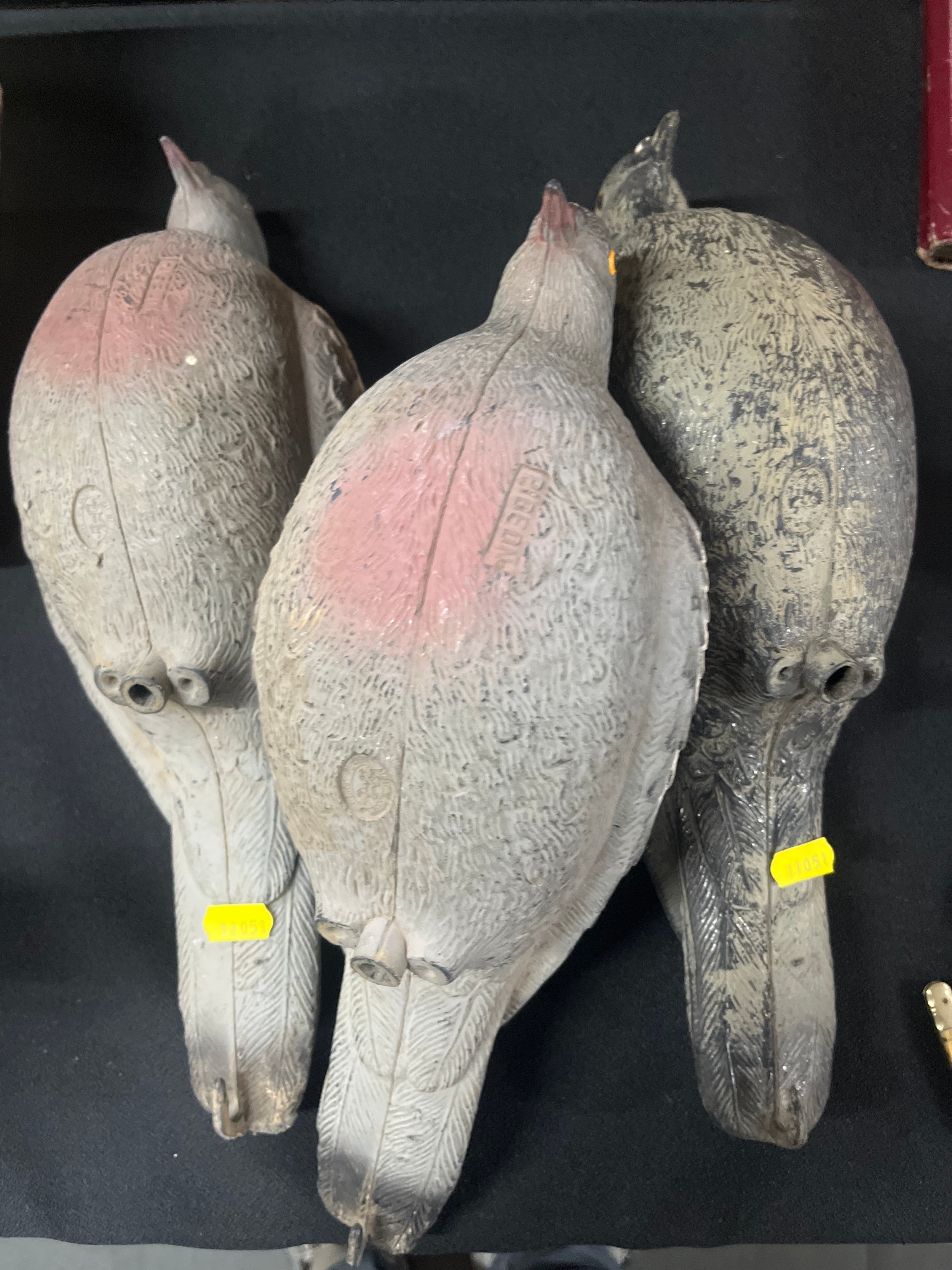 Lot 331