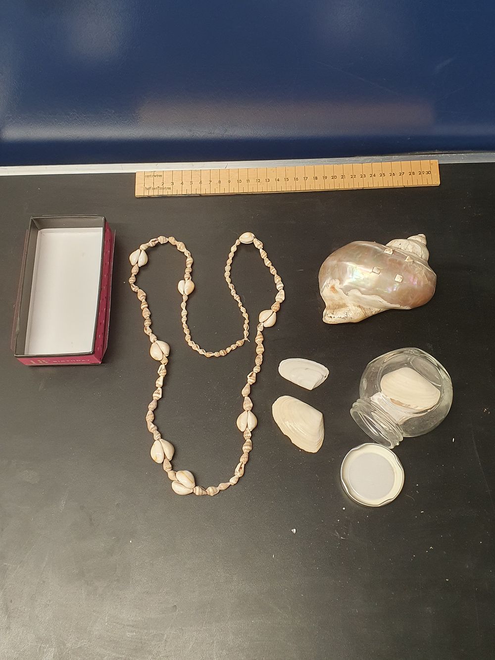 Lot 313: A Collection of Maritime Souvenirs and Natural History Specimens including a Polished Turban Shell and Shell Jewellery