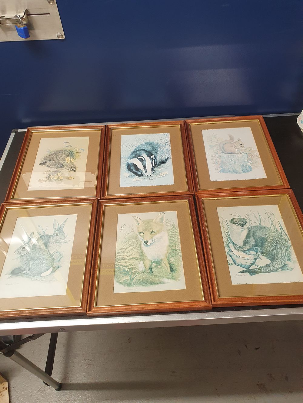 Lot 179: A Set of Six Framed British Wildlife Prints by Alexandra Jacobs