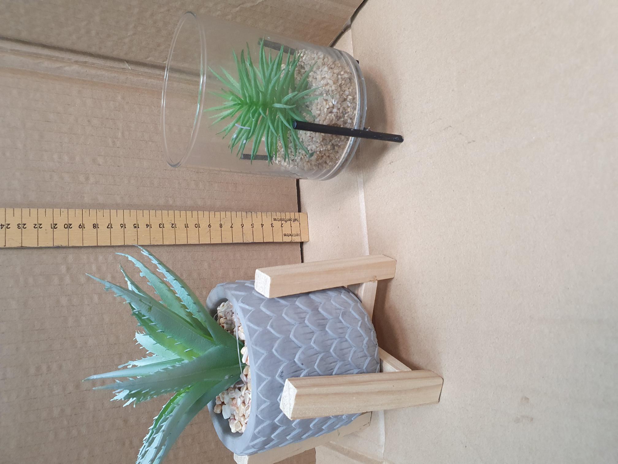 Two Contemporary Artificial Succulents in Decorative Containers with Stands