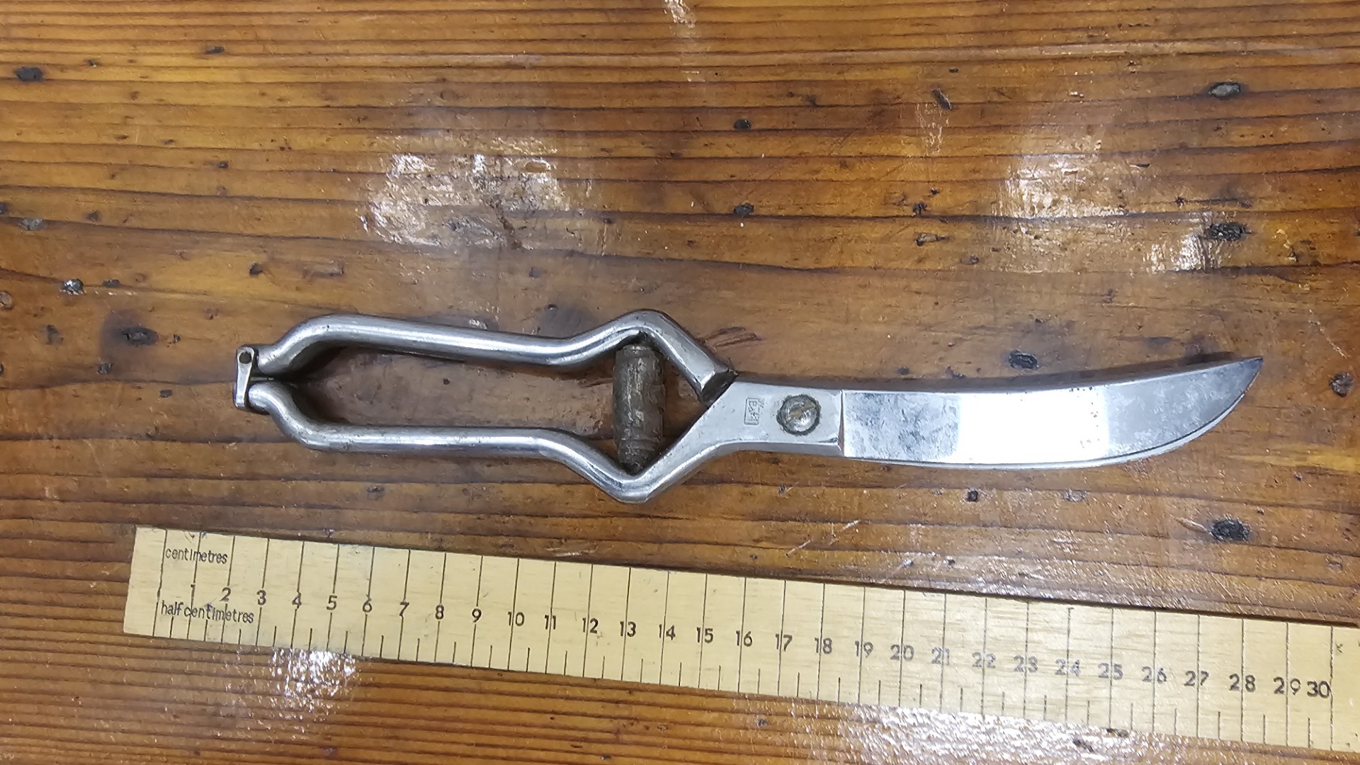 Vintage Wilhelm Hanebeck Solingen Stainless Steel Poultry Shears