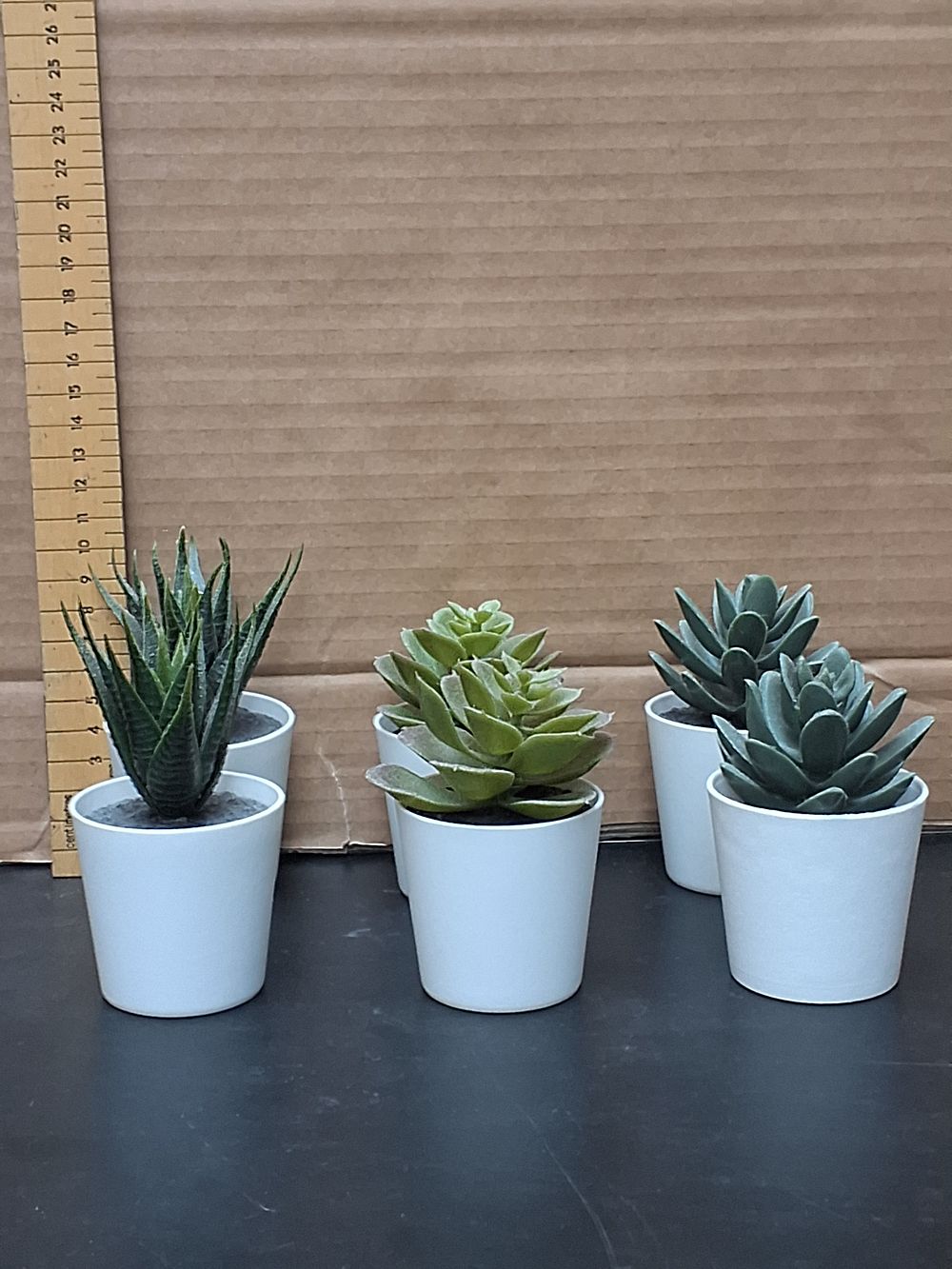 Lot 232: A Set of Six Potted Artificial Succulent Plants