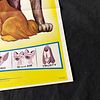 Lady & The Tramp Original 1962 Reprint 1 Sheet. Walt Disney's Lady and the Tramp Original 1962 Image - 1