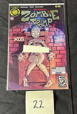 Zombie Tramp 28 LE #/2500 Variant Cover. We offer in person or virtual previews of auction lots
