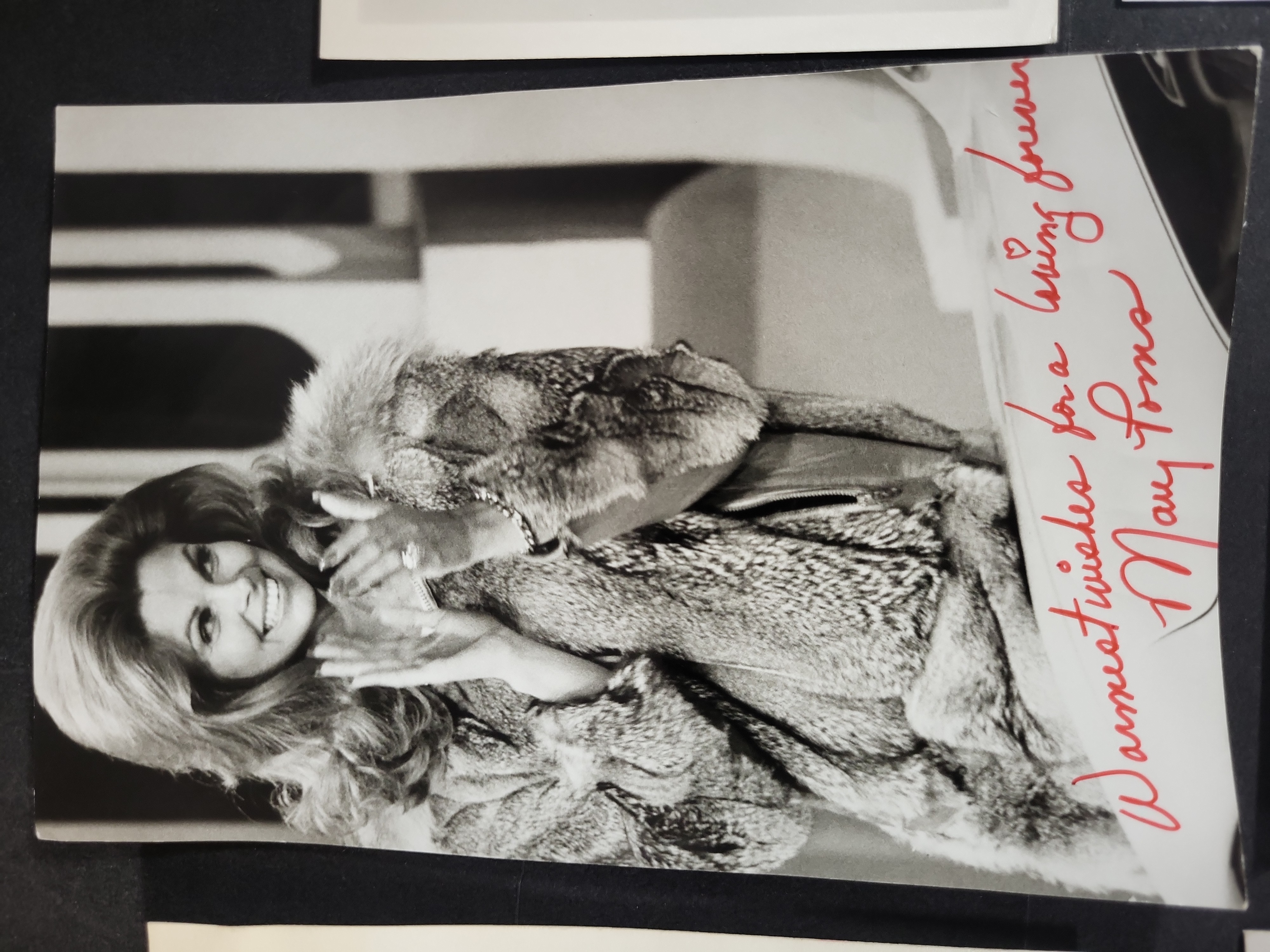 I03403 | A Collection of Seven Autographed Publicity Photographs and Memorabilia Featuring Film, Television, and Sports Personalities