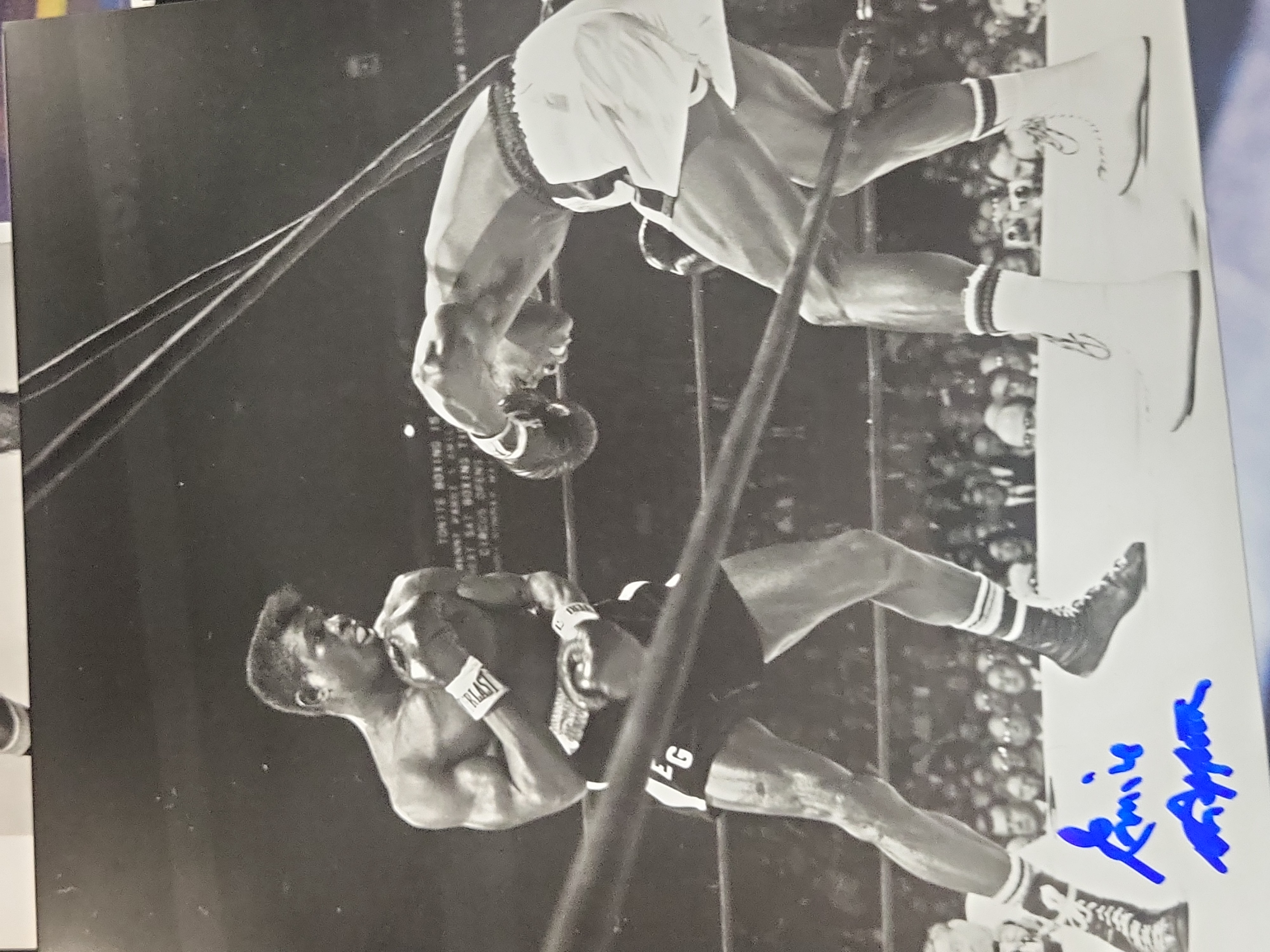 I03017 | A Collection of Eight Autographed Boxing and Professional Wrestling Photographs with Certificates of Authenticity
