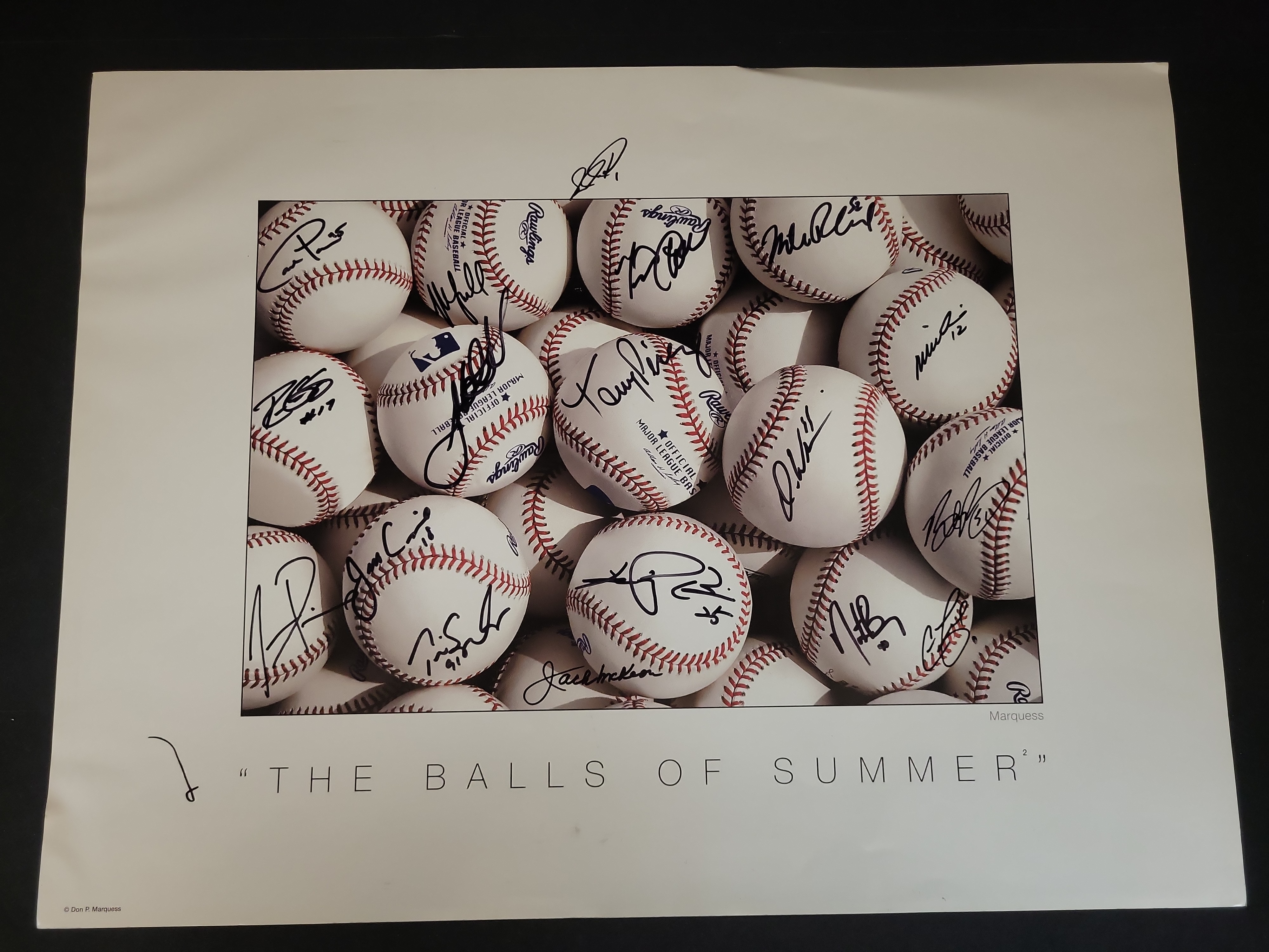I03459 | Don P. Marquess Multi-Signed The Balls of Summer II Photographic Art Poster
