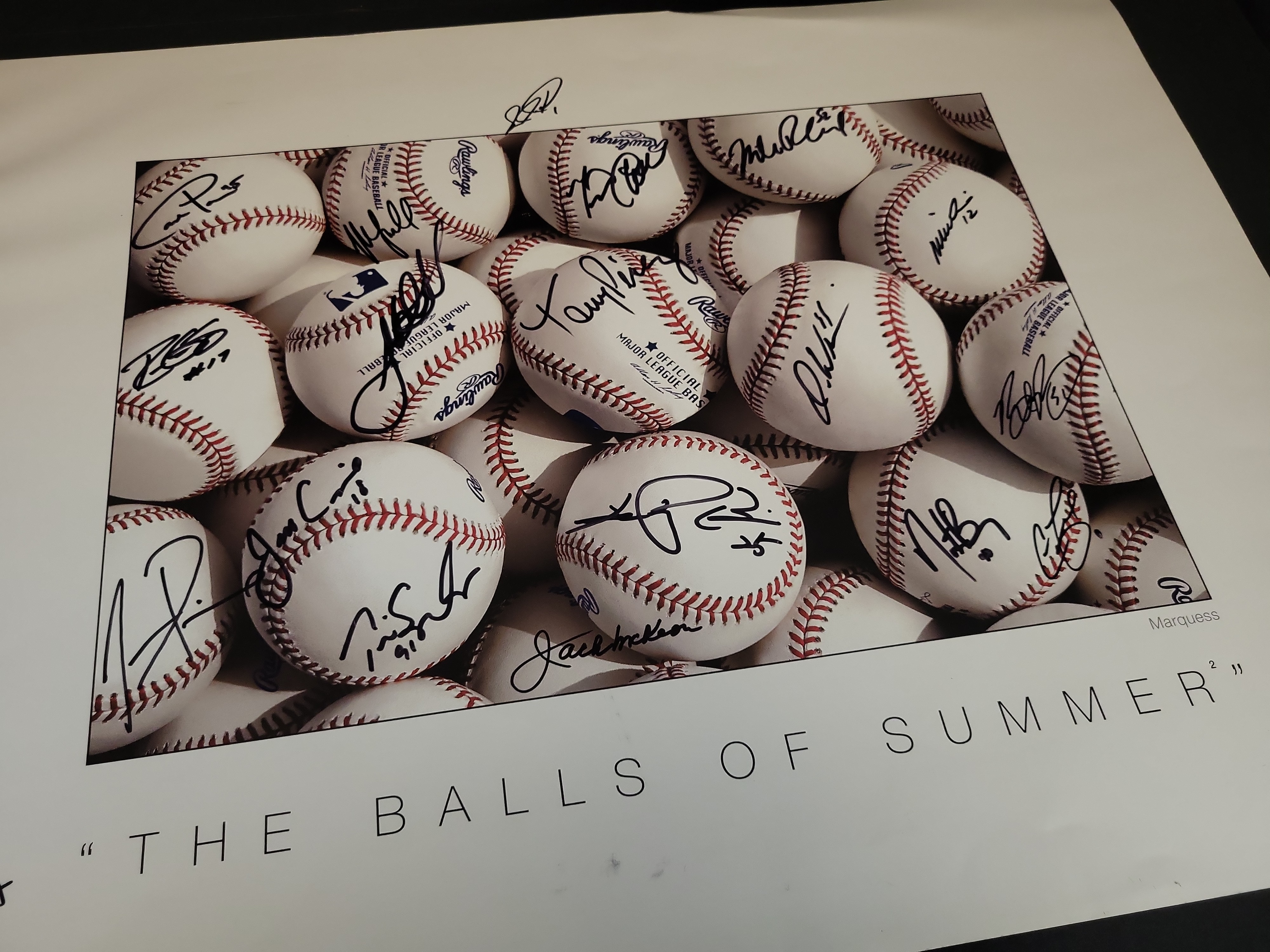 I03459 | Don P. Marquess Multi-Signed The Balls of Summer II Photographic Art Poster