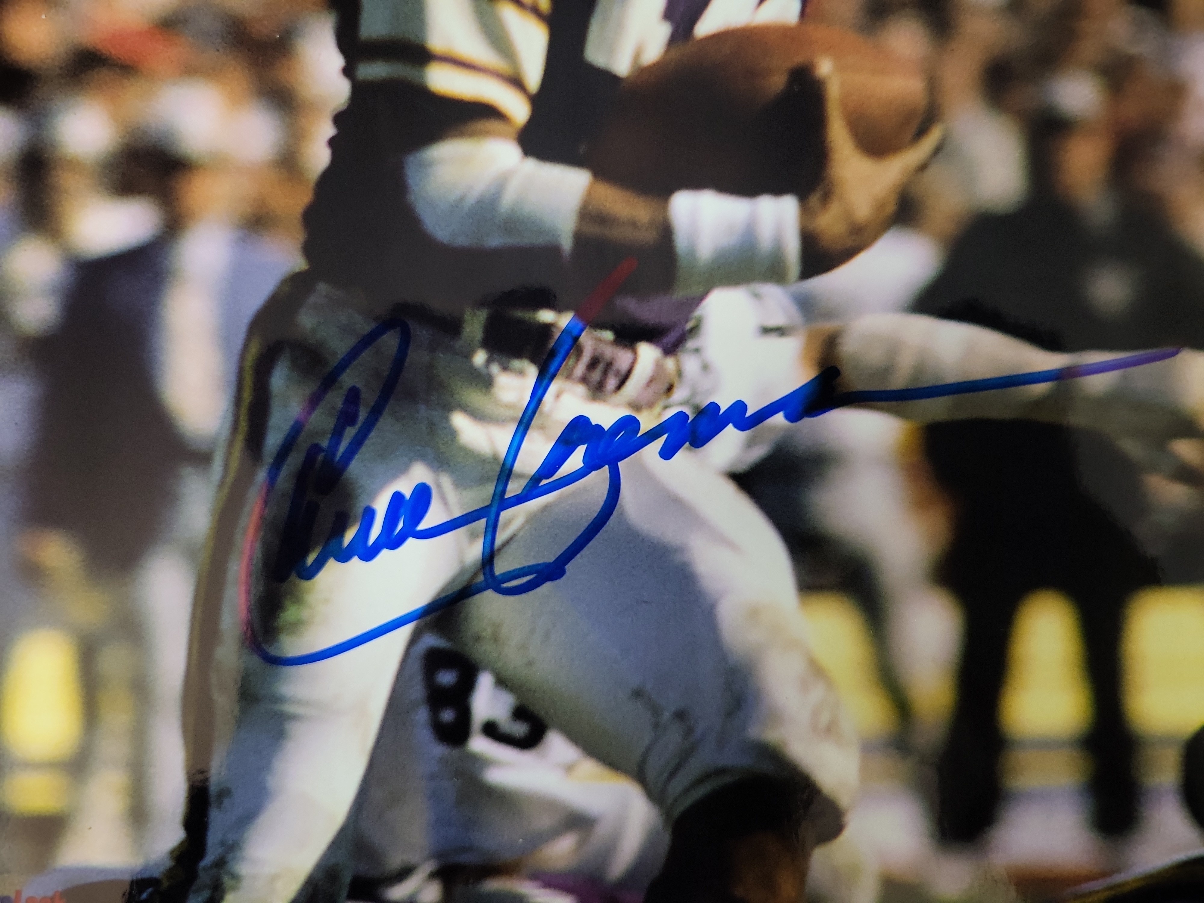 I01476 | A Collection of Minnesota Vikings Autographed Memorabilia Including Carl Eller Chuck Foreman Paul Krause and Bob Tucker