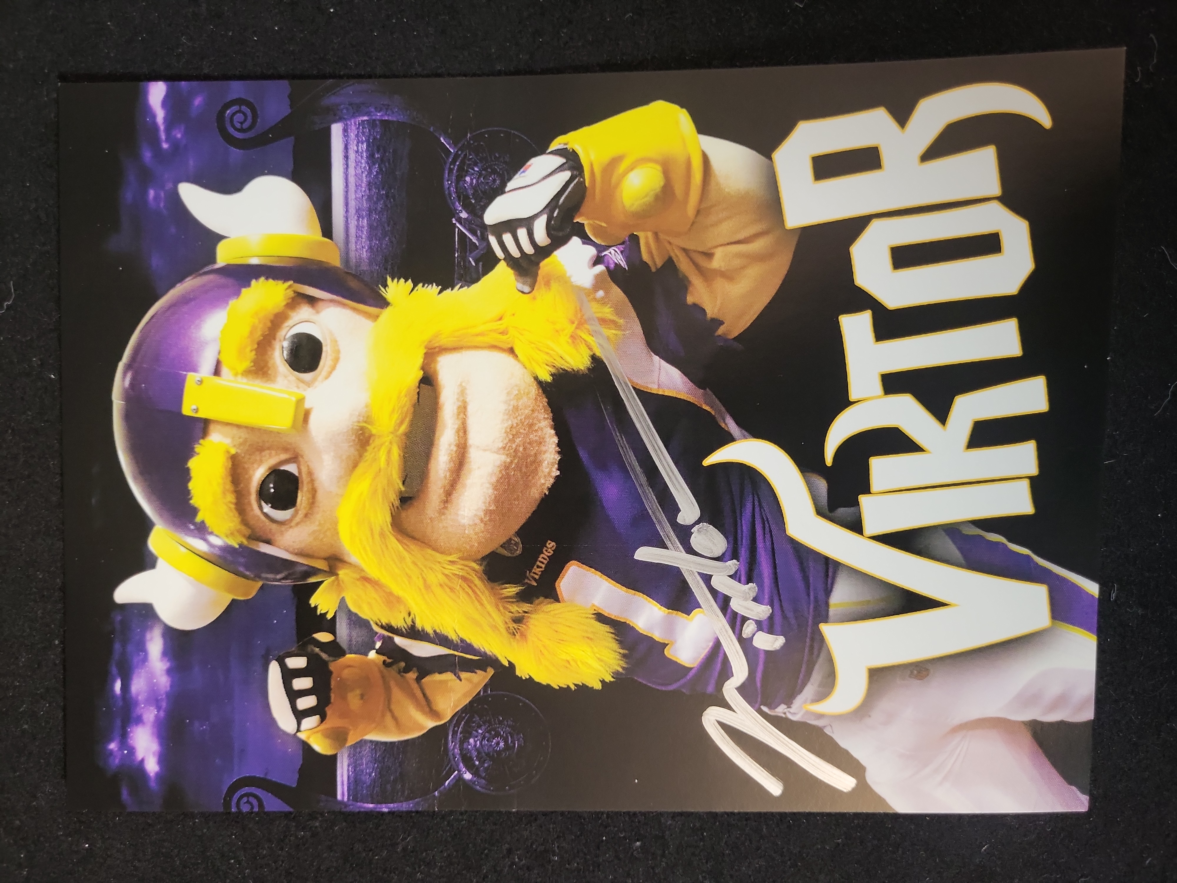 I01476 | A Collection of Minnesota Vikings Autographed Memorabilia Including Carl Eller Chuck Foreman Paul Krause and Bob Tucker