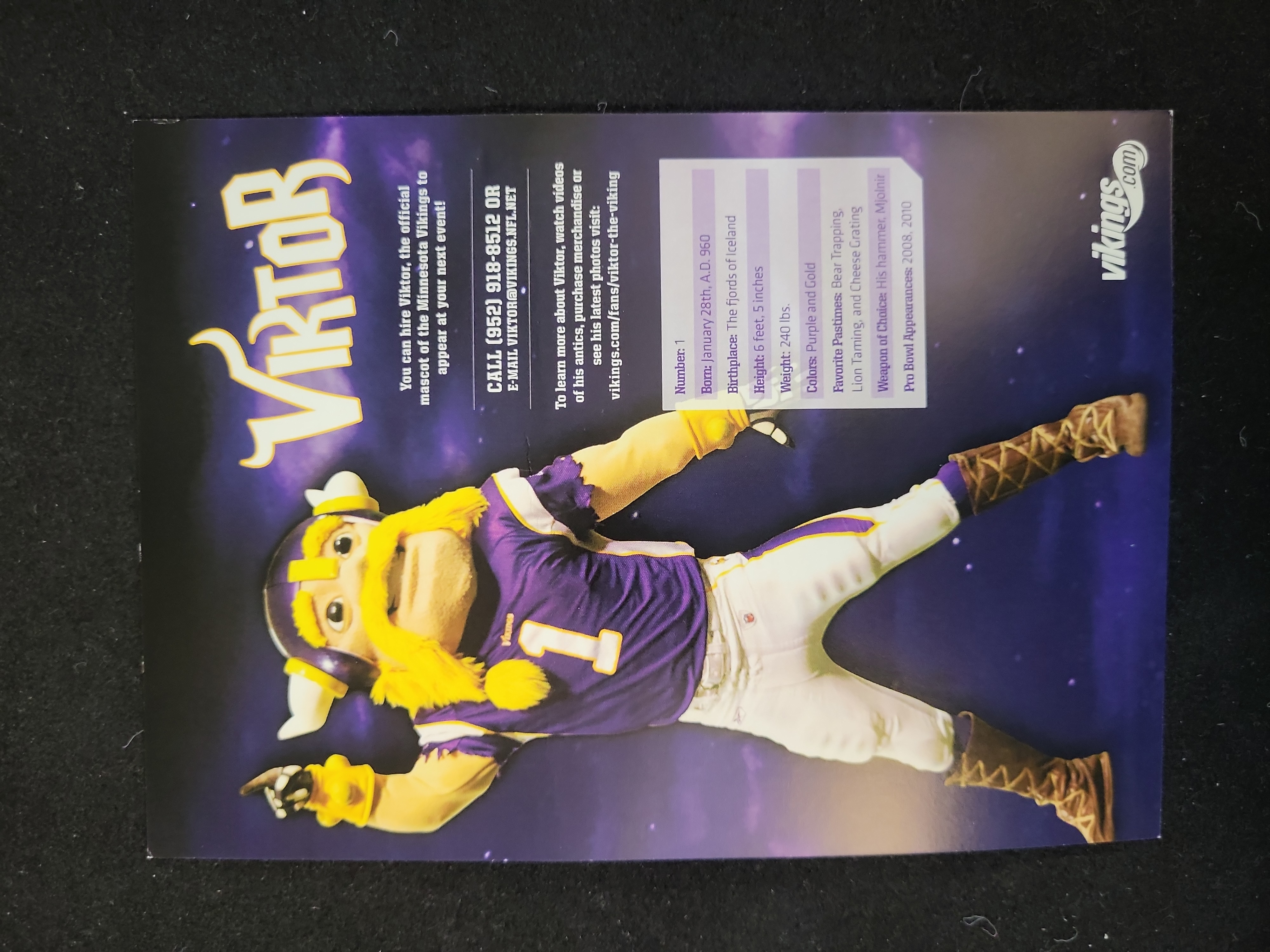I01476 | A Collection of Minnesota Vikings Autographed Memorabilia Including Carl Eller Chuck Foreman Paul Krause and Bob Tucker