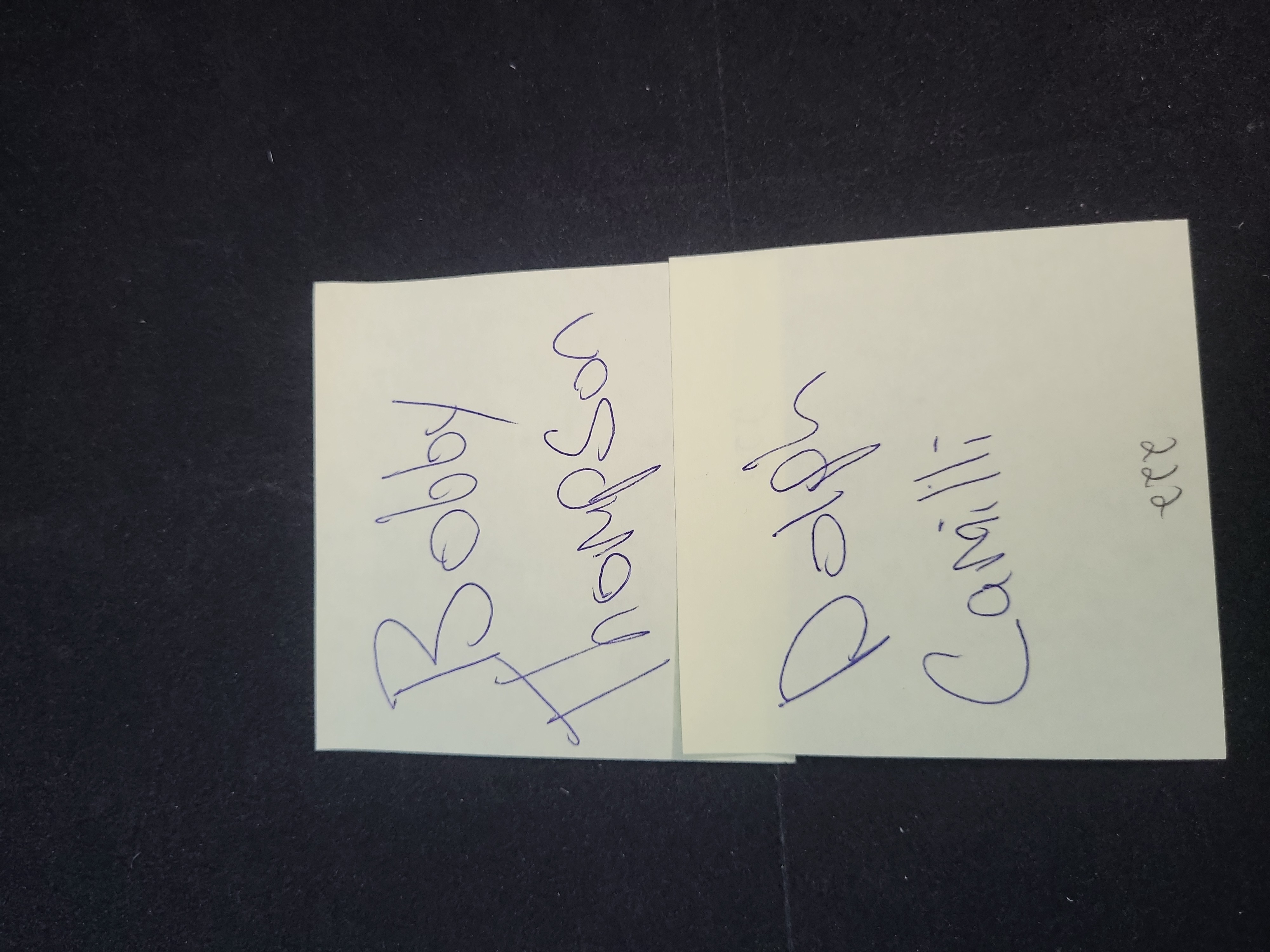 I03375 | A Pair of JSA Authenticated Autographed Baseball Cuts Featuring Bobby Thomson and Dolph Camilli