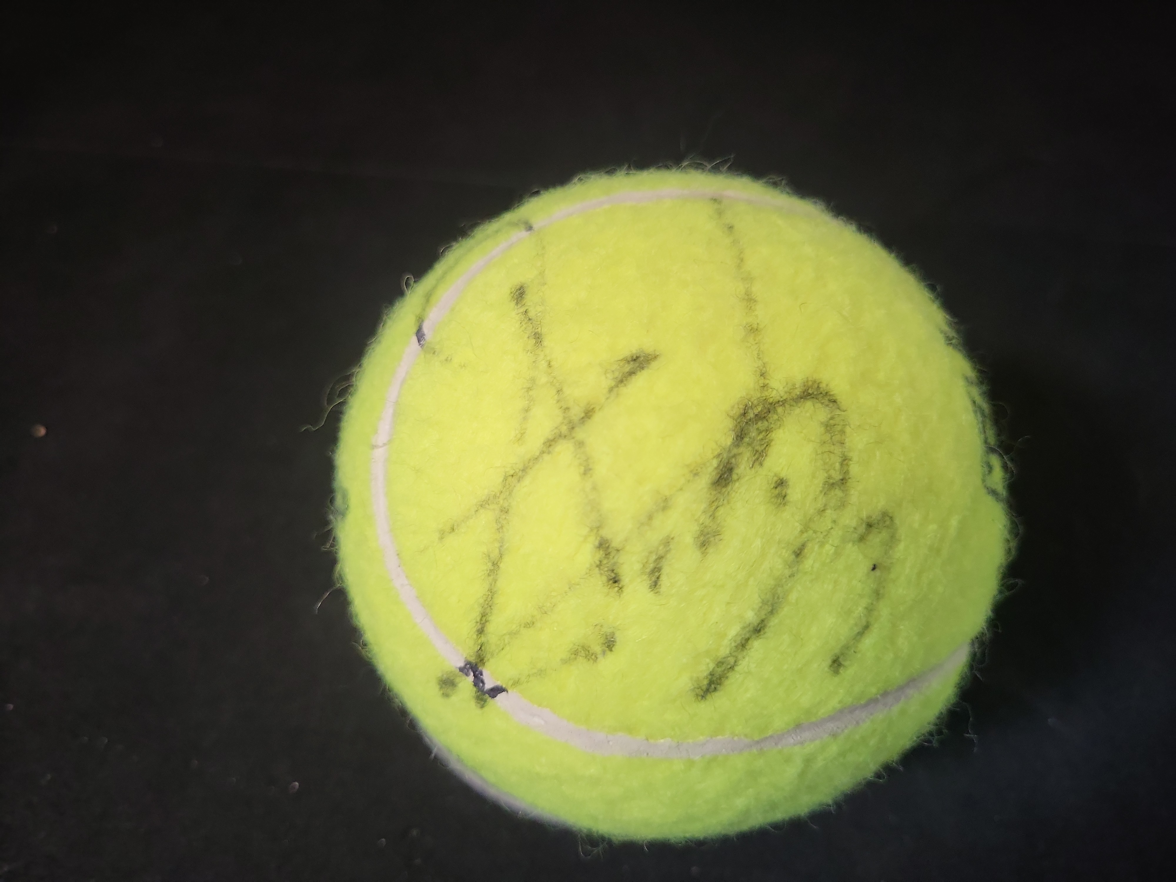 I03239 | Autographed Tennis Ball with Holabird Sports Logo and Display Stand