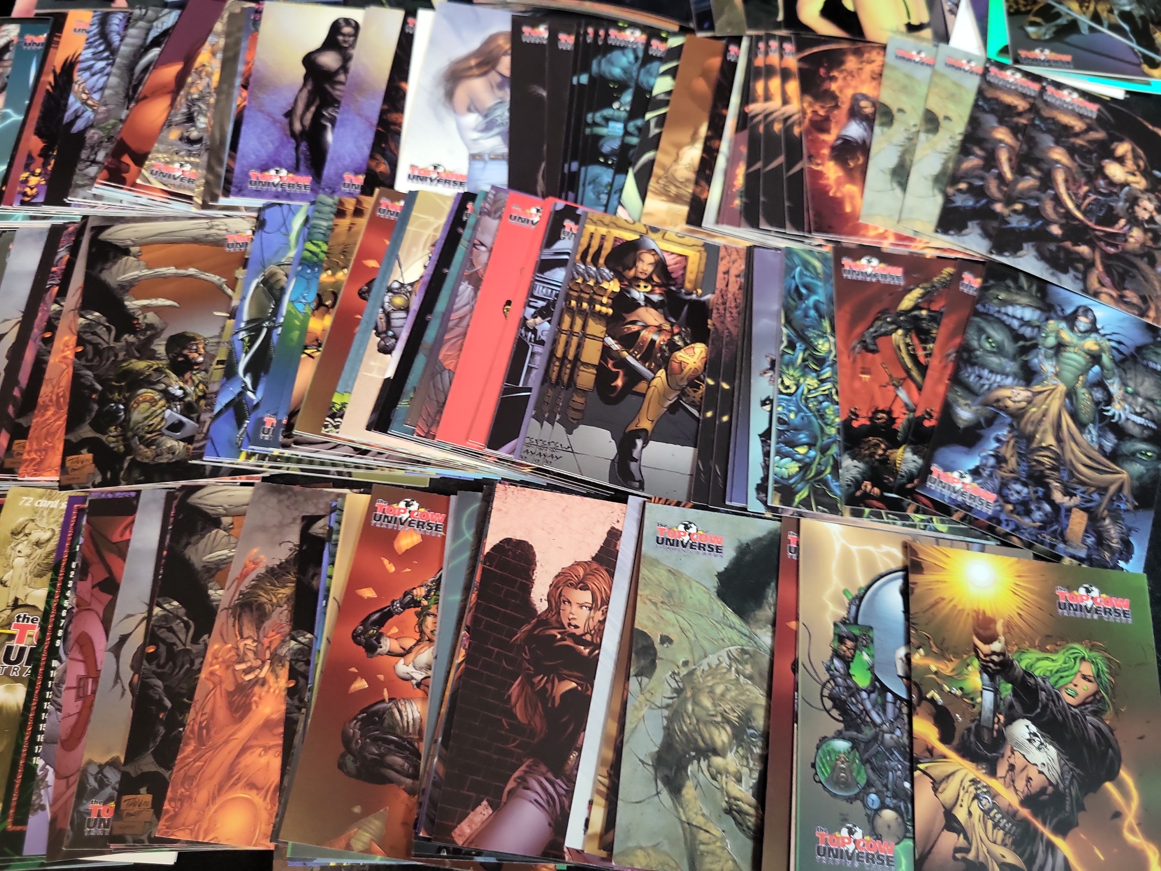 I03664 | A Collection of Top Cow and Avengelyne Trading Cards and a Darkstalkers Lilith Aensland Figure
