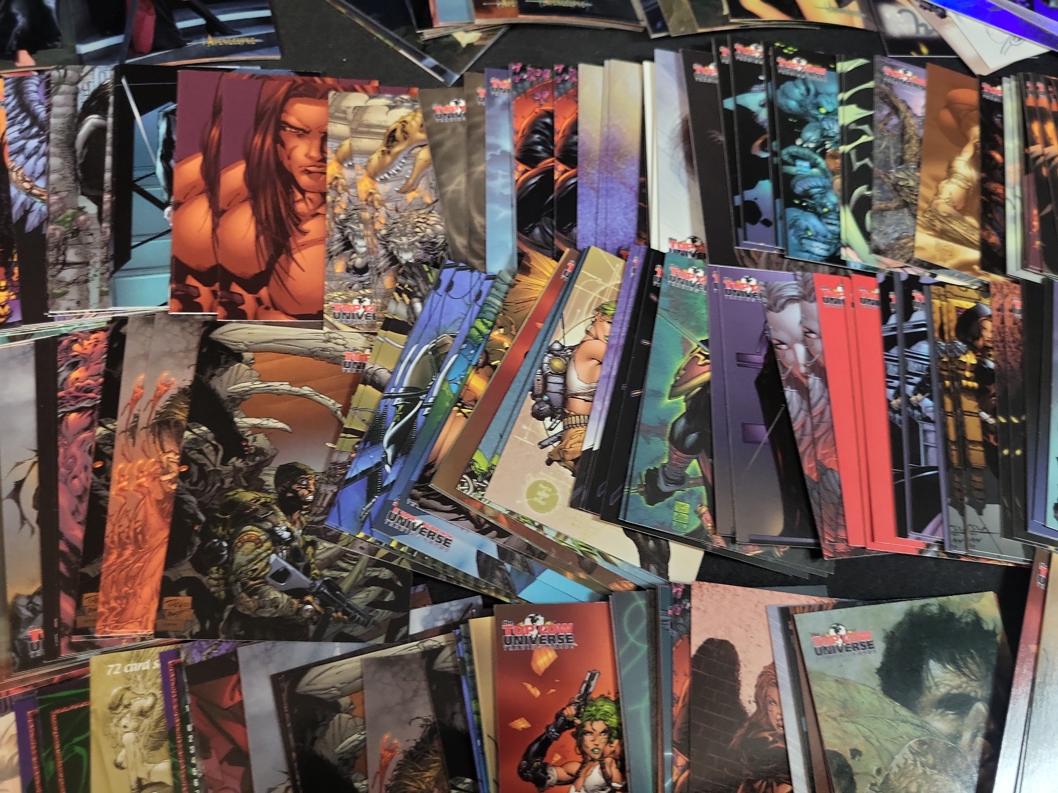 I03664 | A Collection of Top Cow and Avengelyne Trading Cards and a Darkstalkers Lilith Aensland Figure