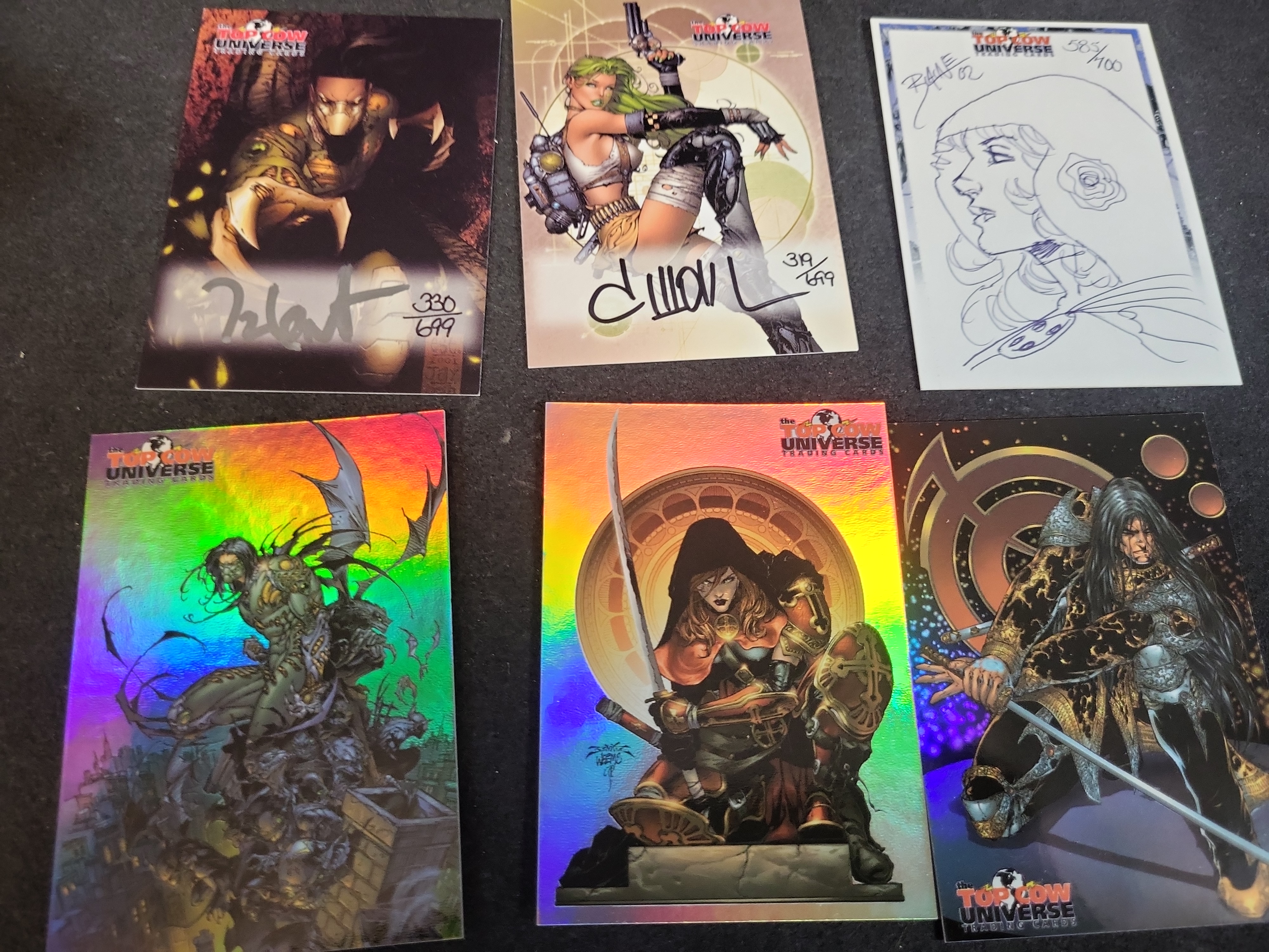 I03664 | A Collection of Top Cow and Avengelyne Trading Cards and a Darkstalkers Lilith Aensland Figure