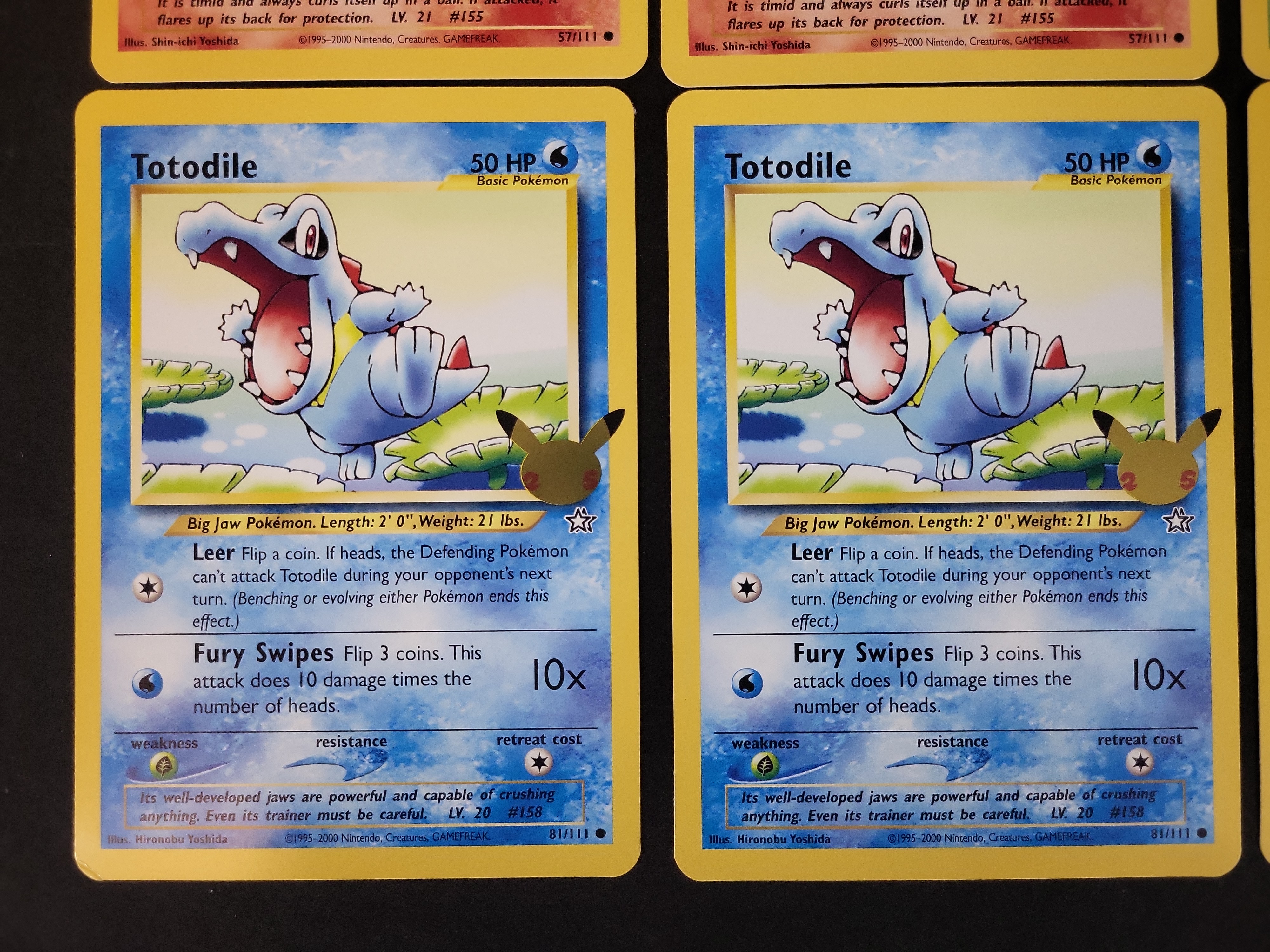 I02885 | A Collection of Pokémon TCG Johto First Partner Pack Jumbo Cards