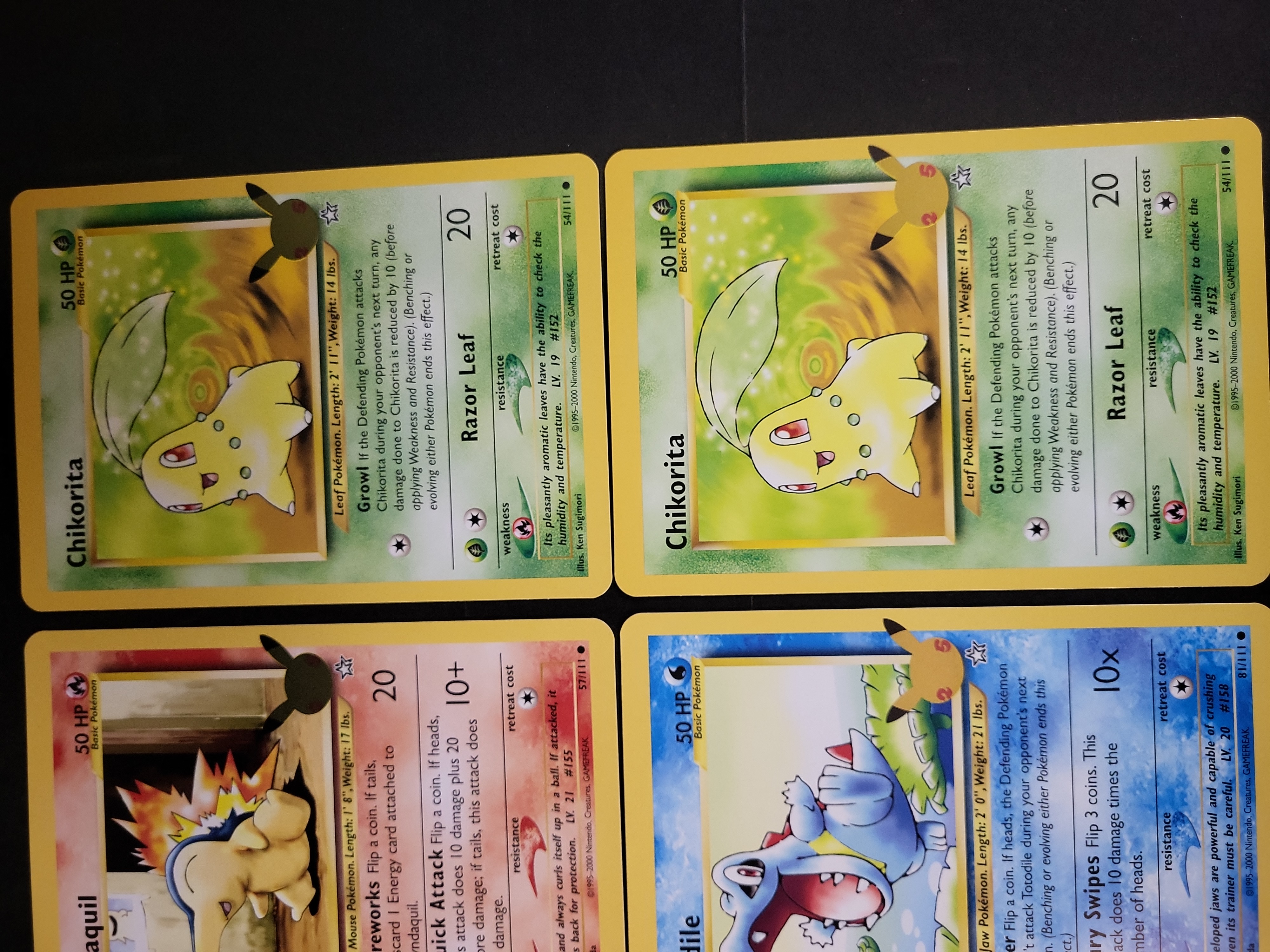 I02885 | A Collection of Pokémon TCG Johto First Partner Pack Jumbo Cards