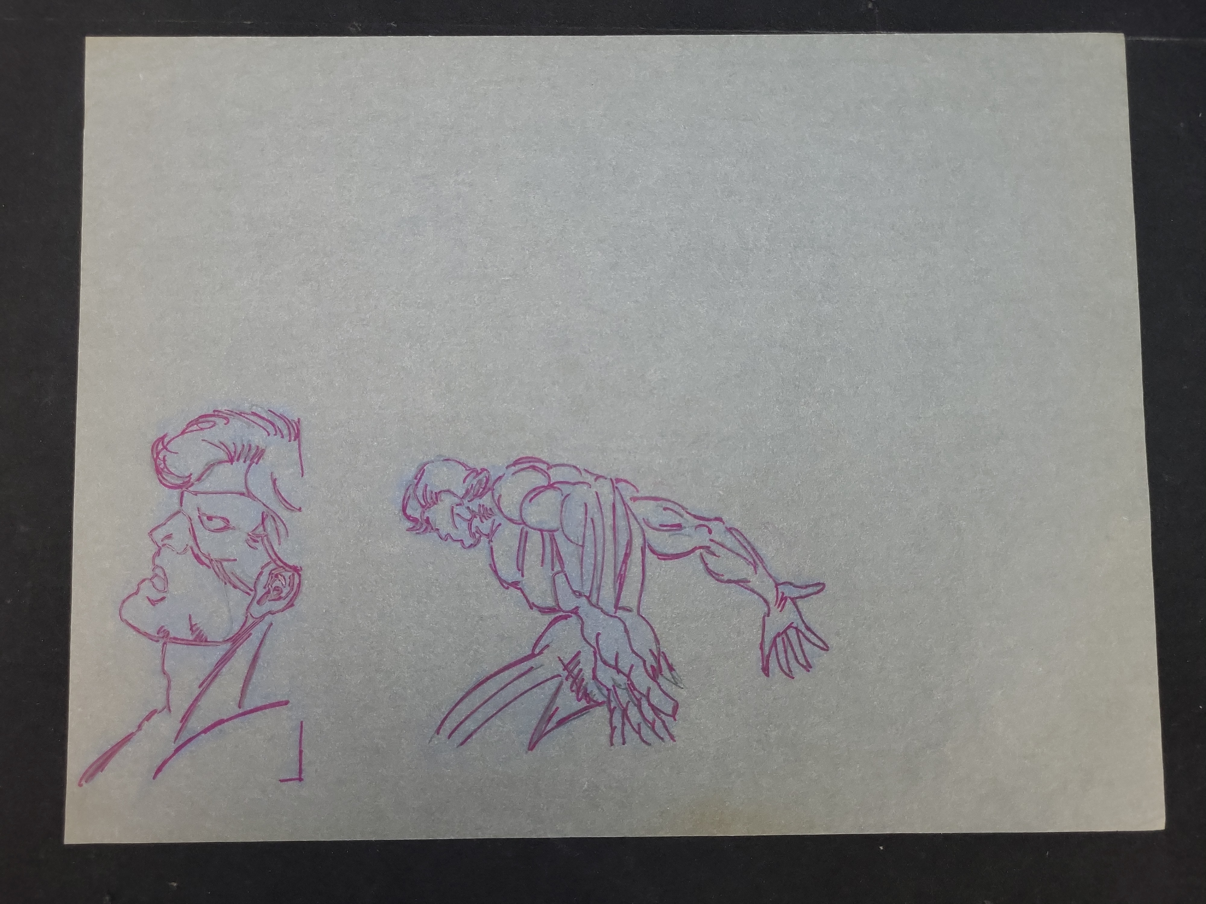I03927 | Marvel Animation Production Drawing Featuring Studies of Wolverine