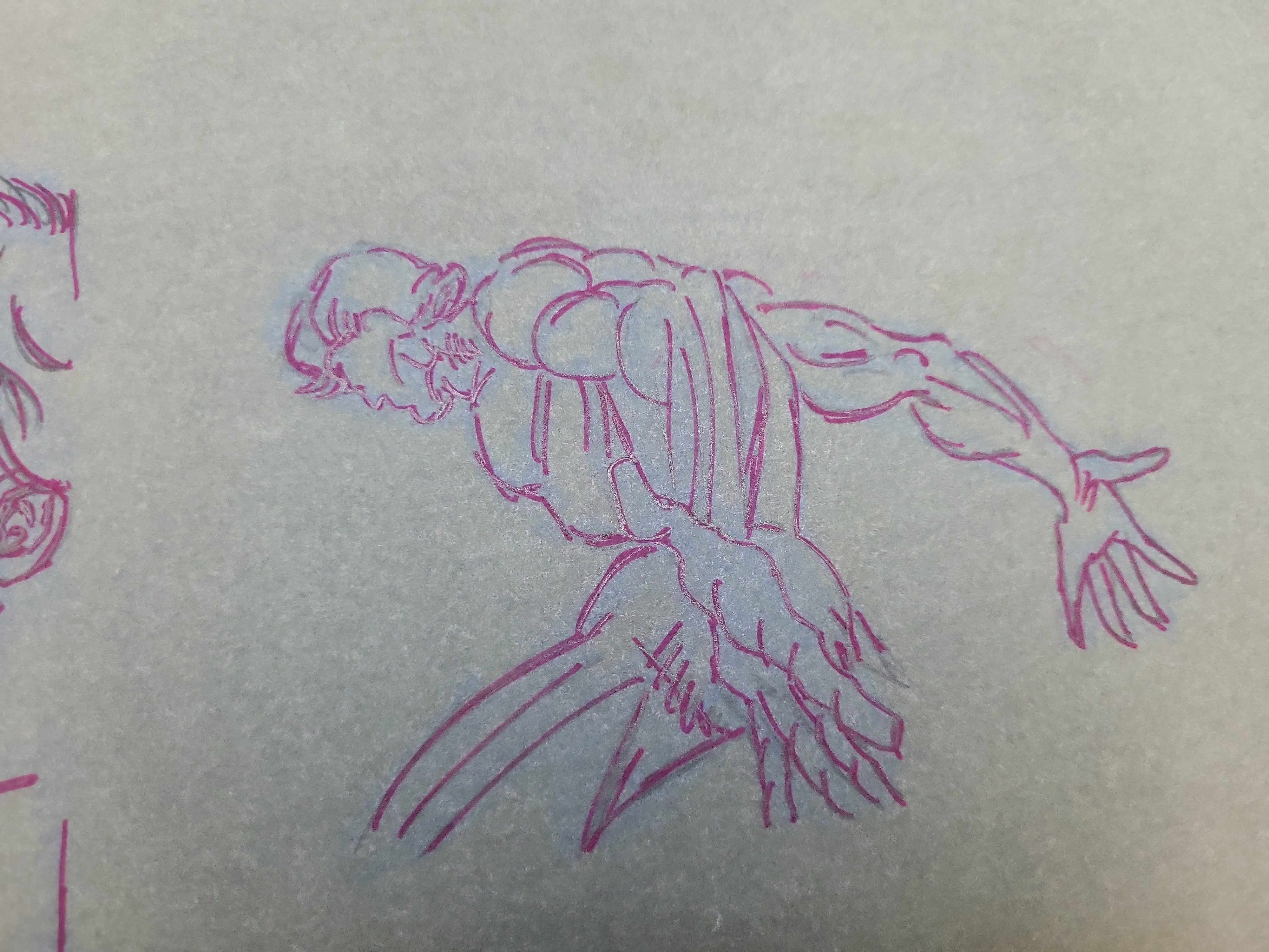 I03927 | Marvel Animation Production Drawing Featuring Studies of Wolverine