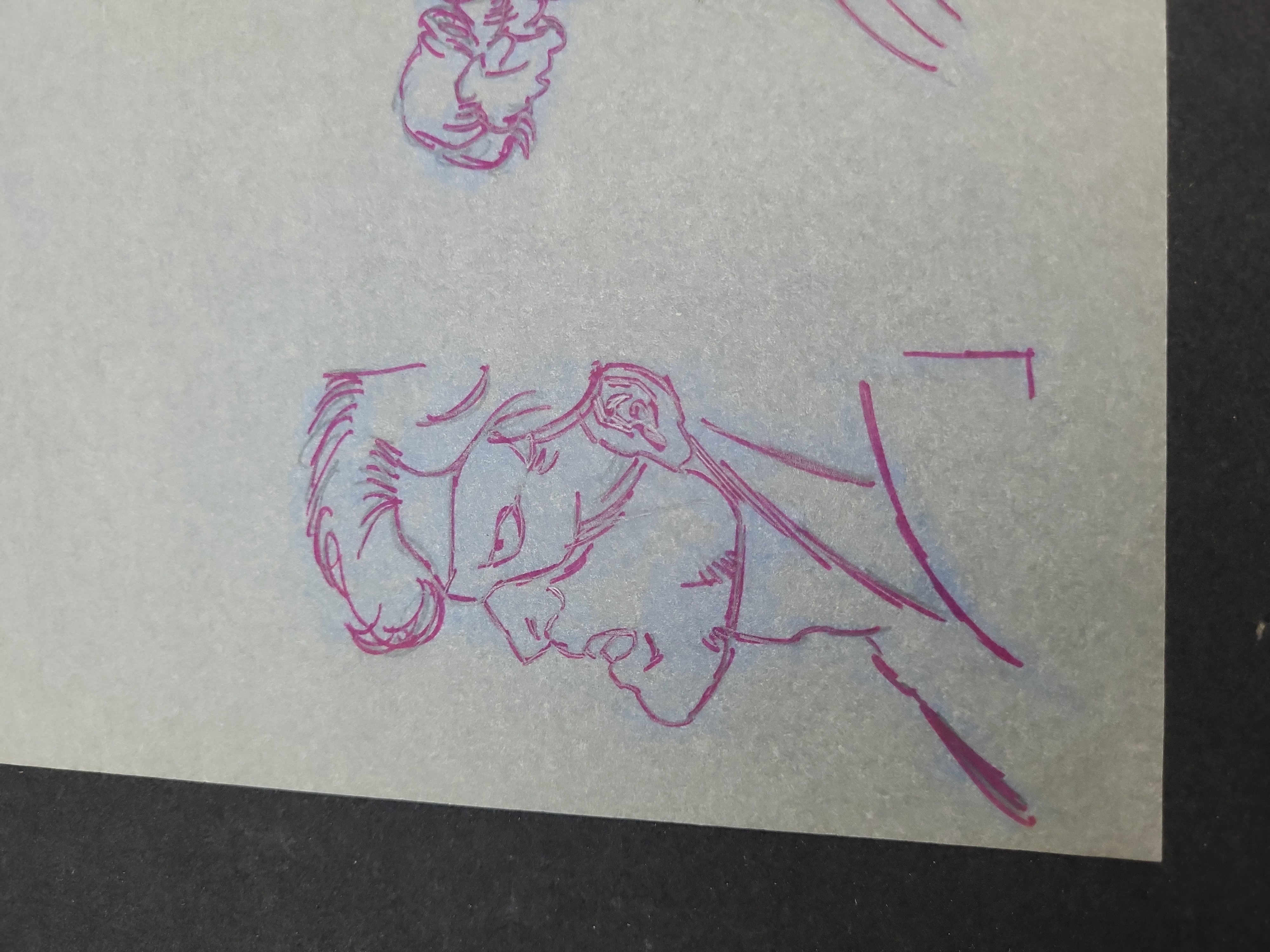 I03927 | Marvel Animation Production Drawing Featuring Studies of Wolverine