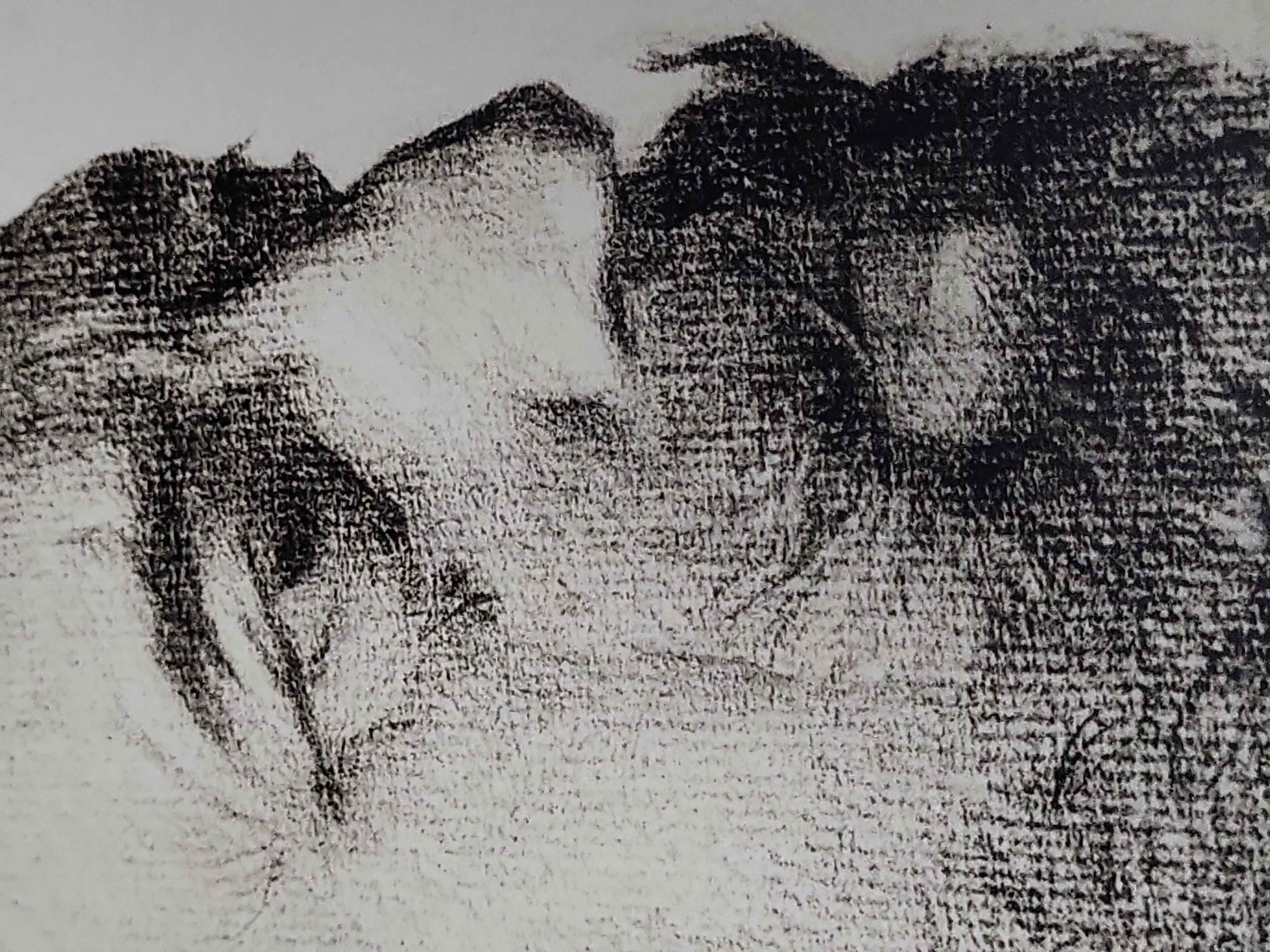 I03562 | James Kerr-Lawson (Canadian, 1864-1939), Profile Portrait of a Bearded Man, Charcoal Drawing