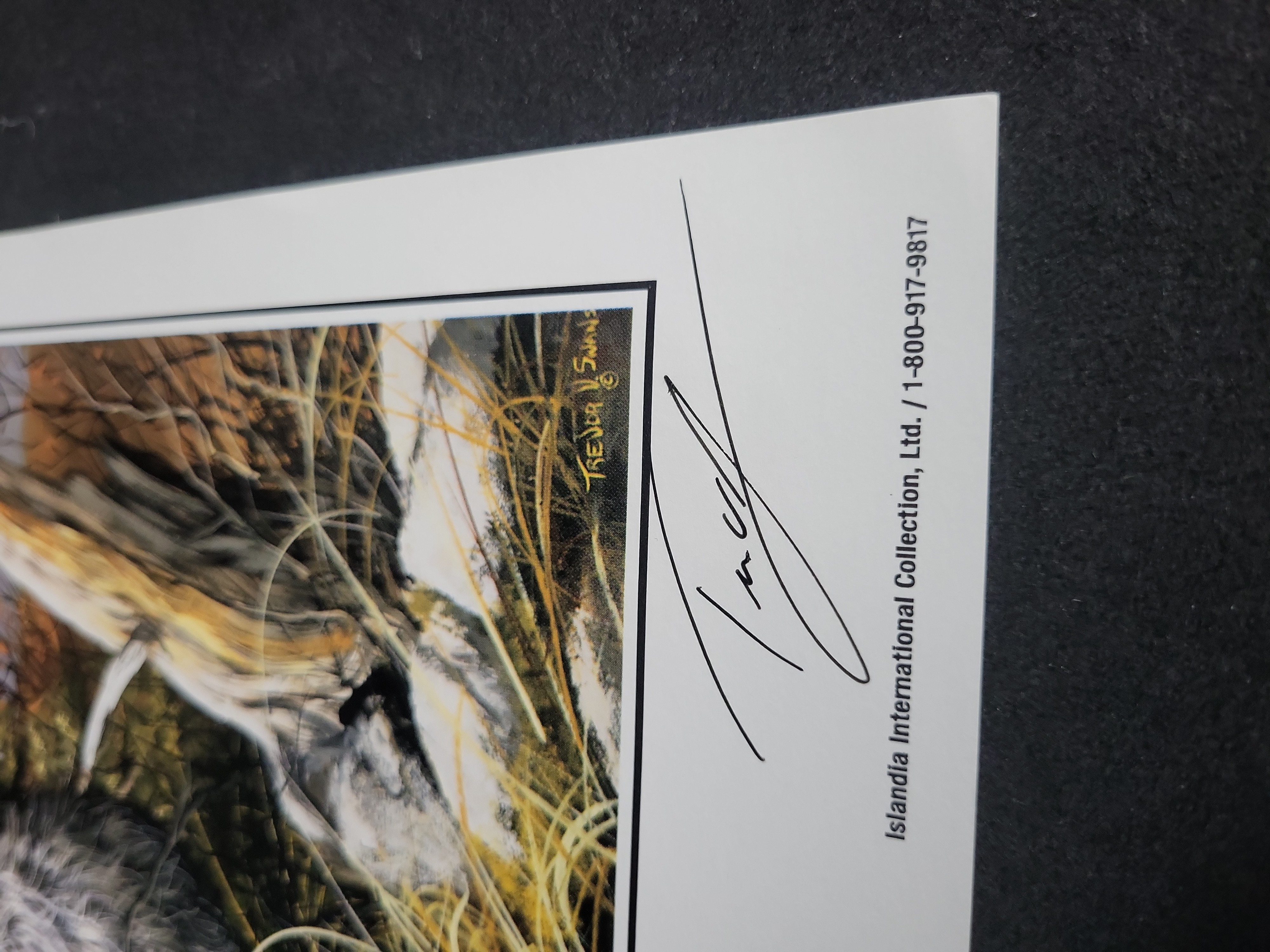 I03438 | Trevor Swanson, The Mischief Maker, Hand-Signed Photomechanical Print